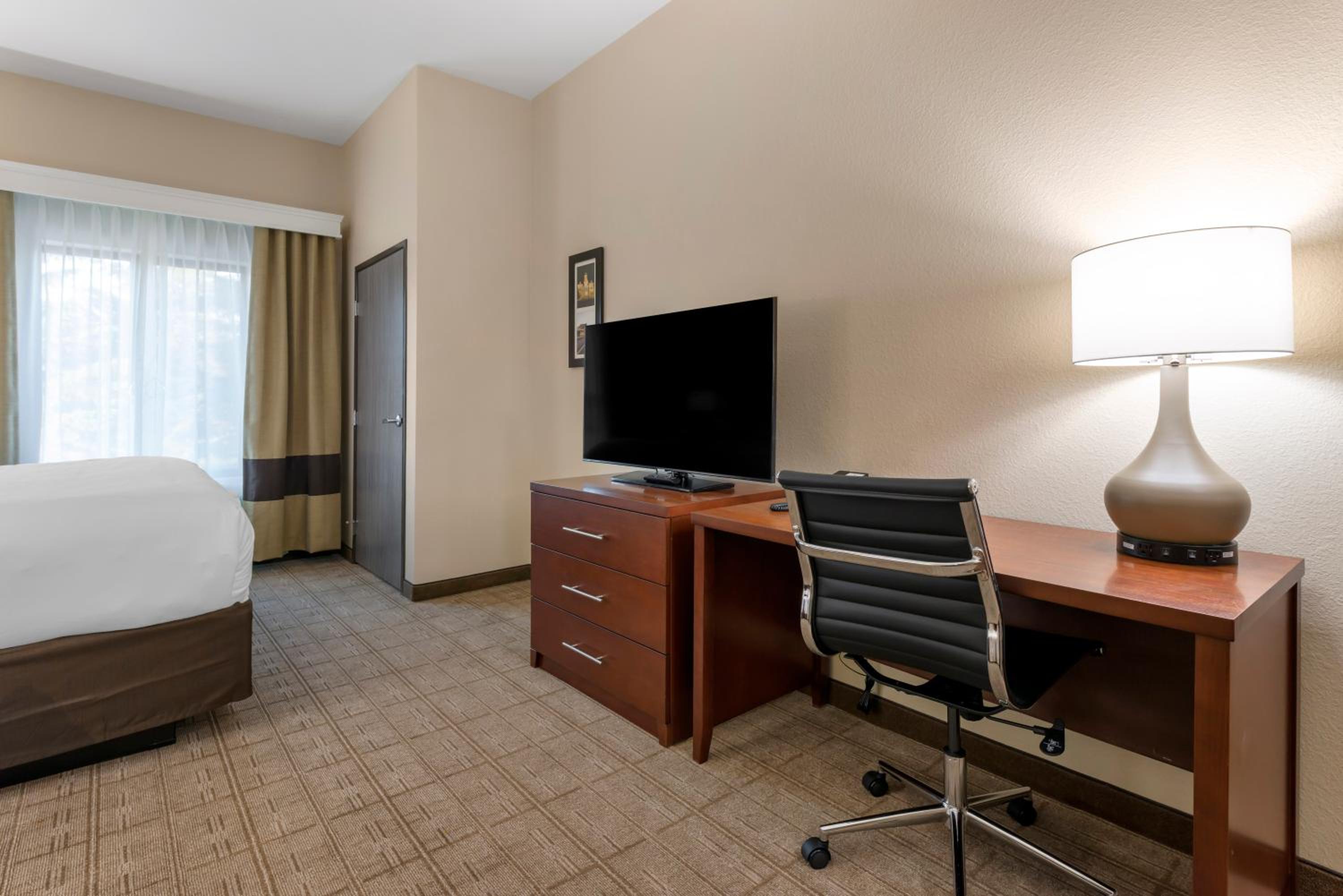 King Suite with Sofabed and Transfer Shower, Roll-In Shower - Accessible/Non Smoking