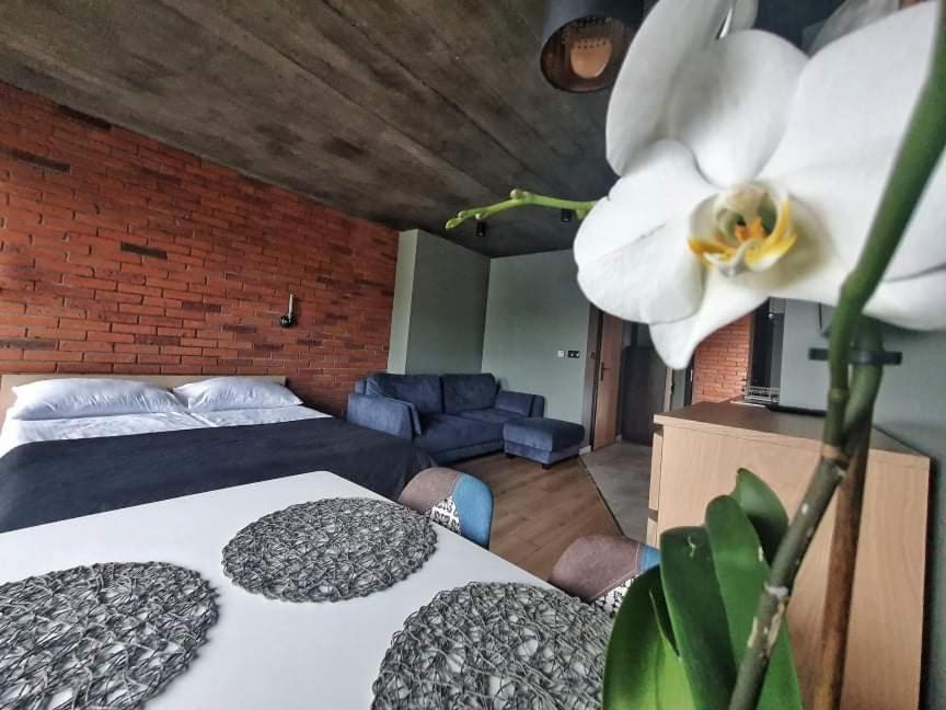 Studio Apartment photo 3