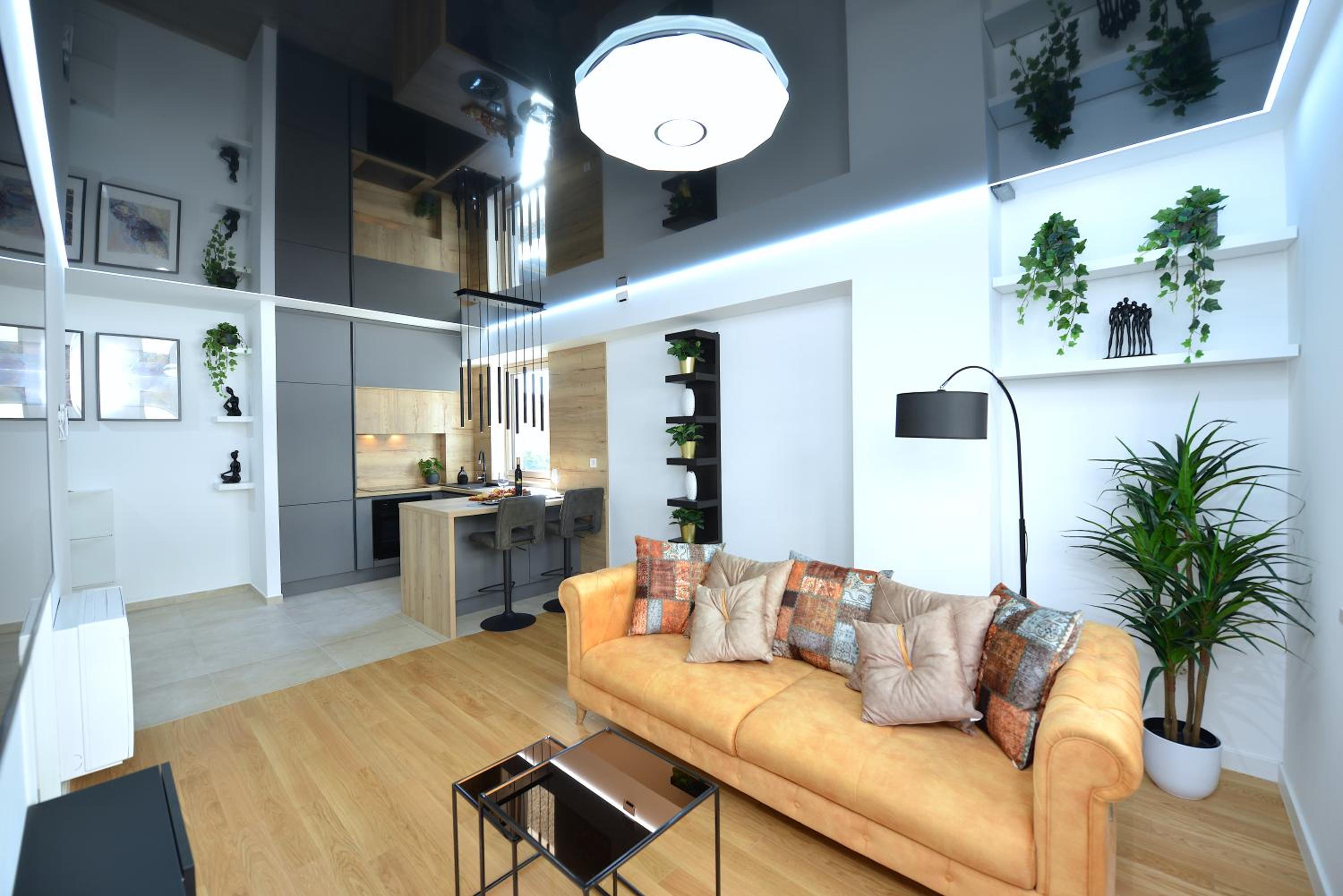 Deluxe Apartment photo 2