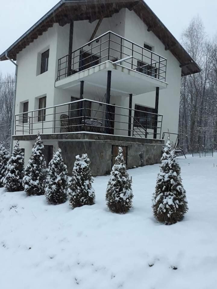 Villa - Photo 10