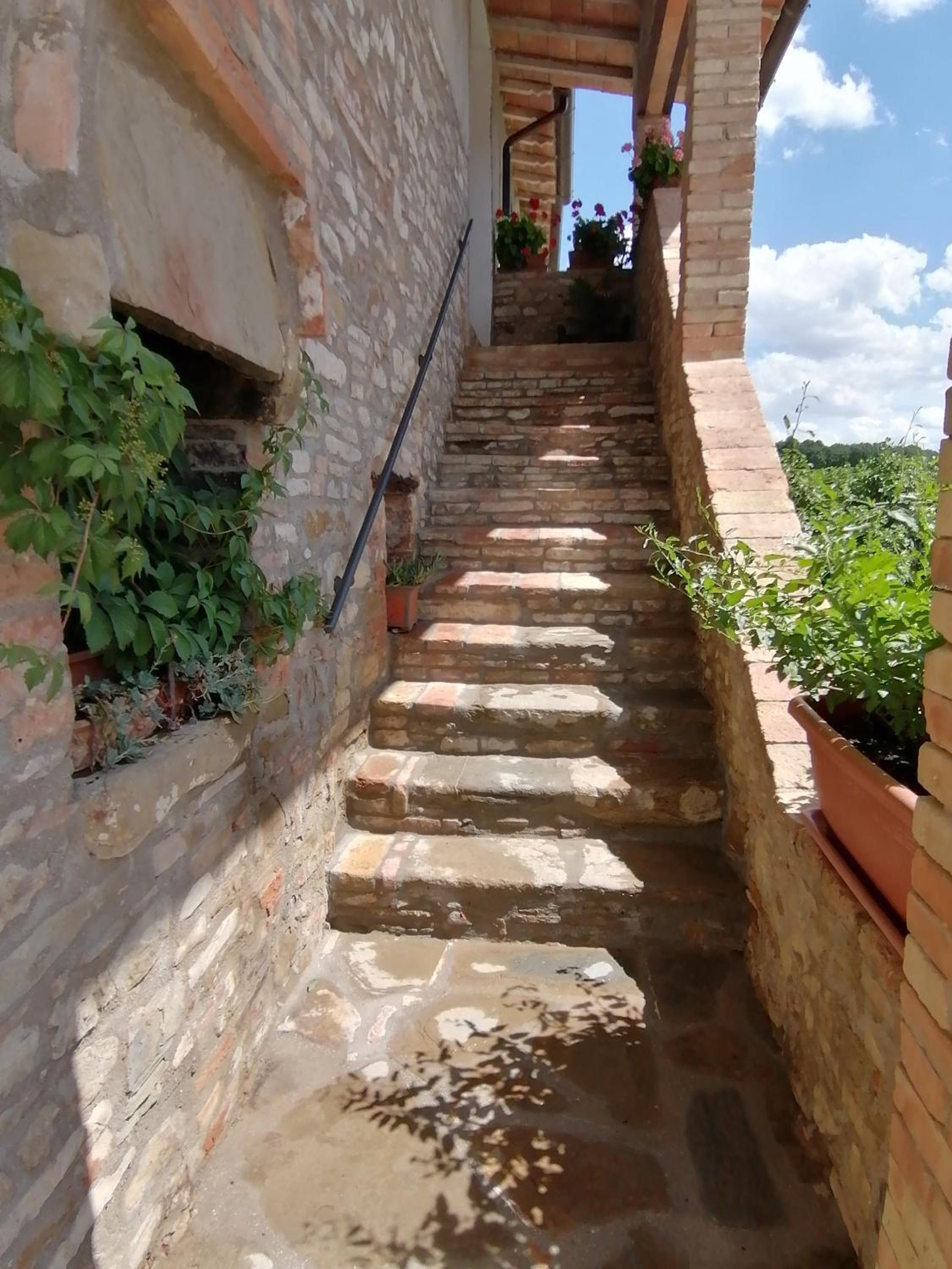 Apartment with Terrace photo 2