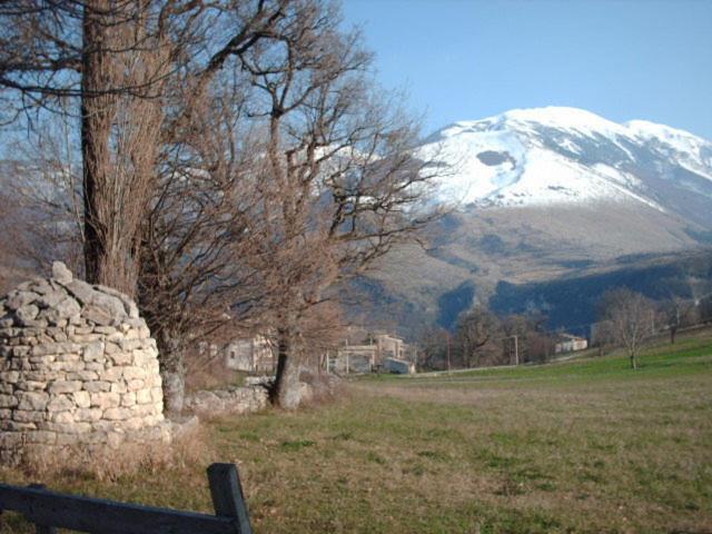 Vacation Home photo 3