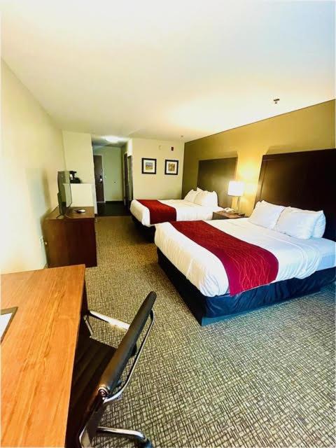 Queen Room with Two Queen Beds - Non-Smoking