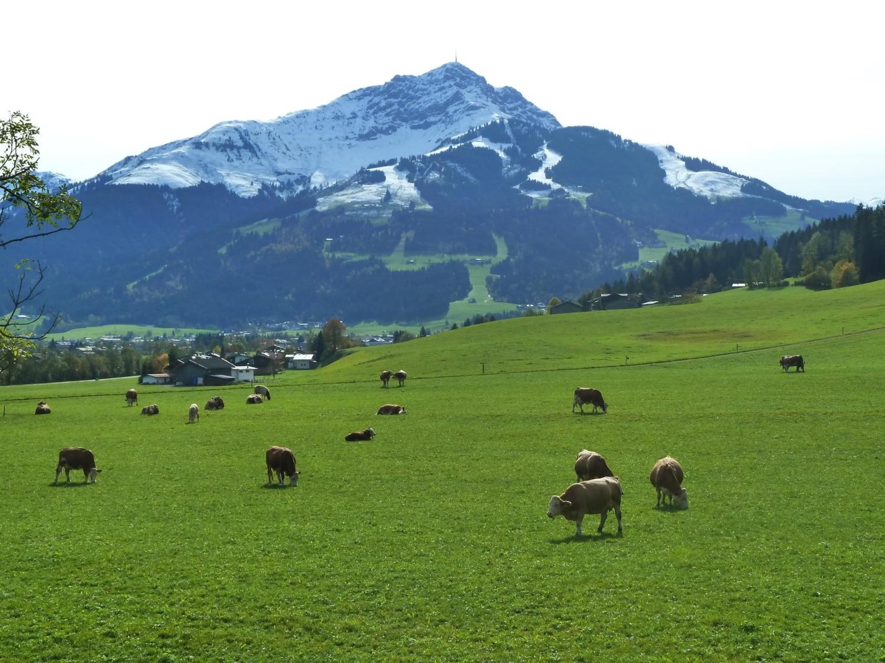 Apartment with Terrace photo 3