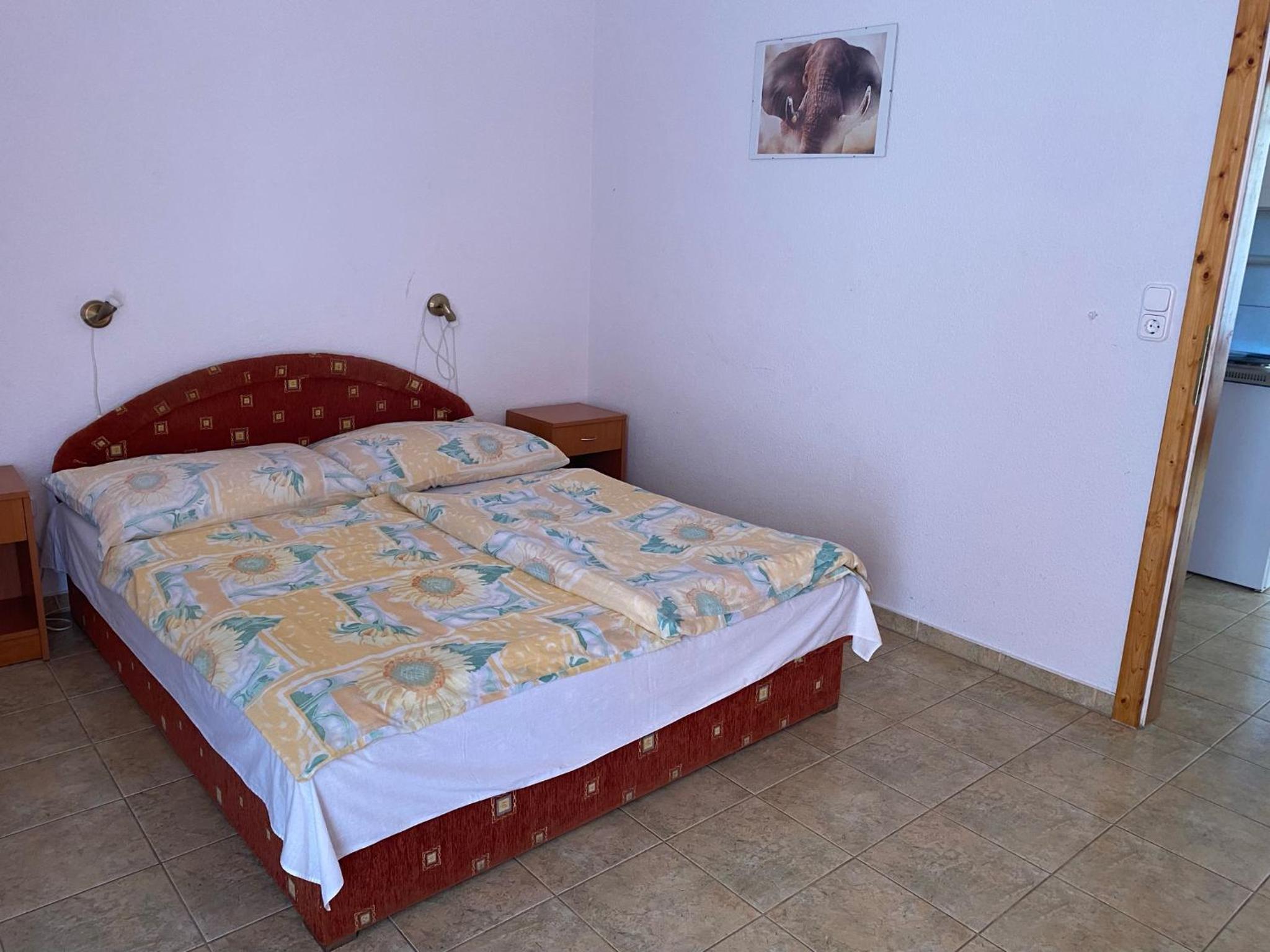 Apartment with Terrace photo 2