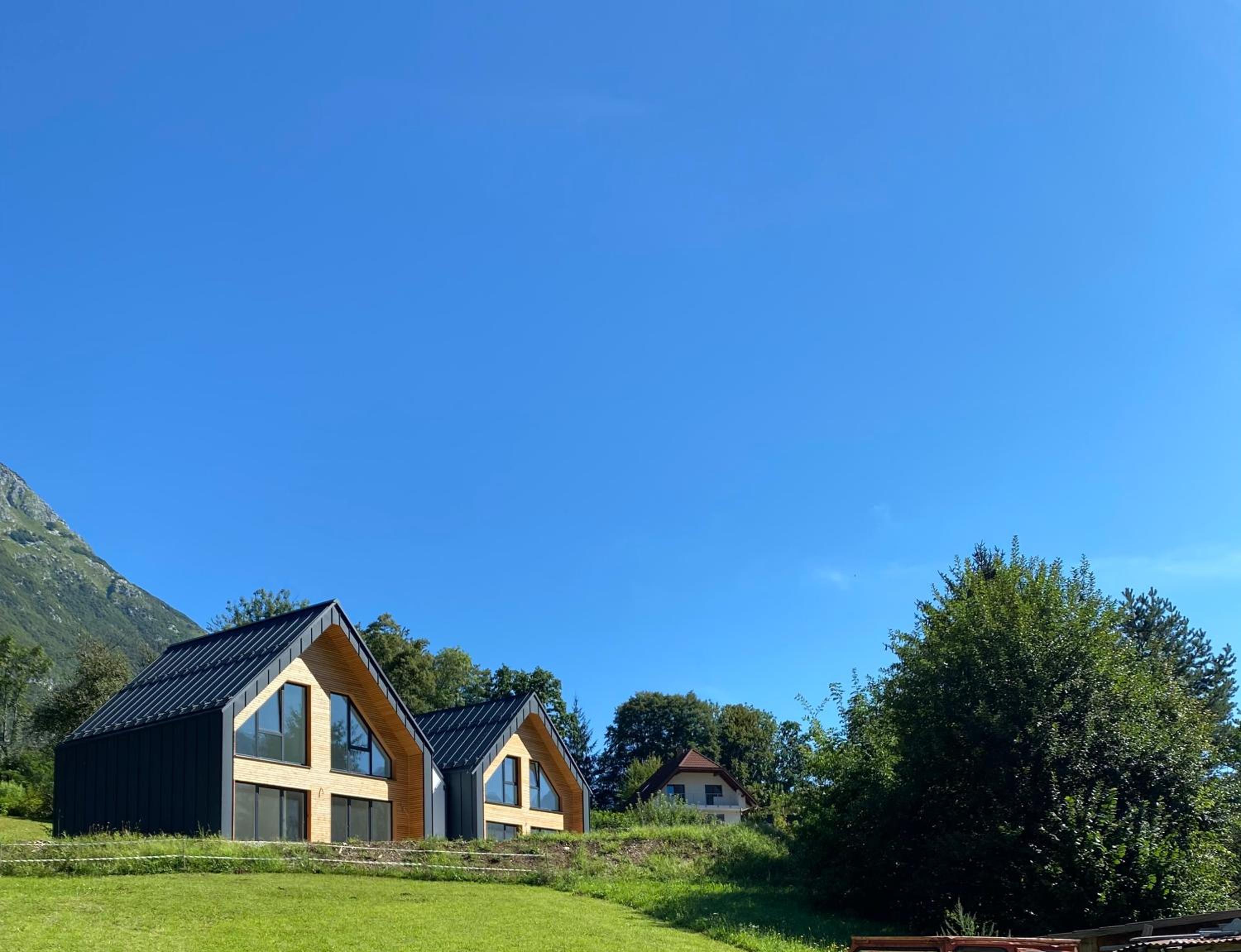 Three-Bedroom Chalet photo 3
