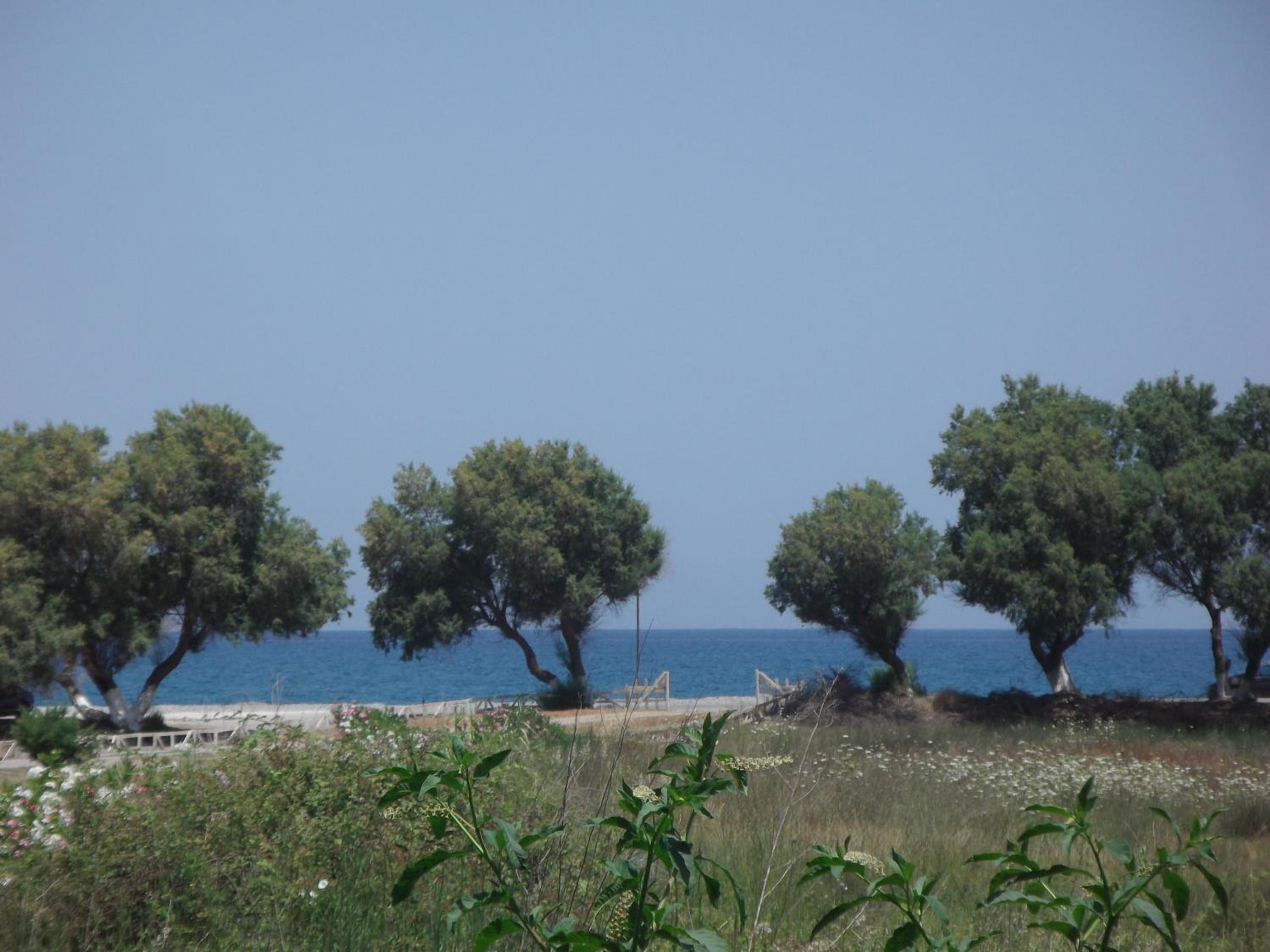 Family Apartment with Sea View - Photo 7
