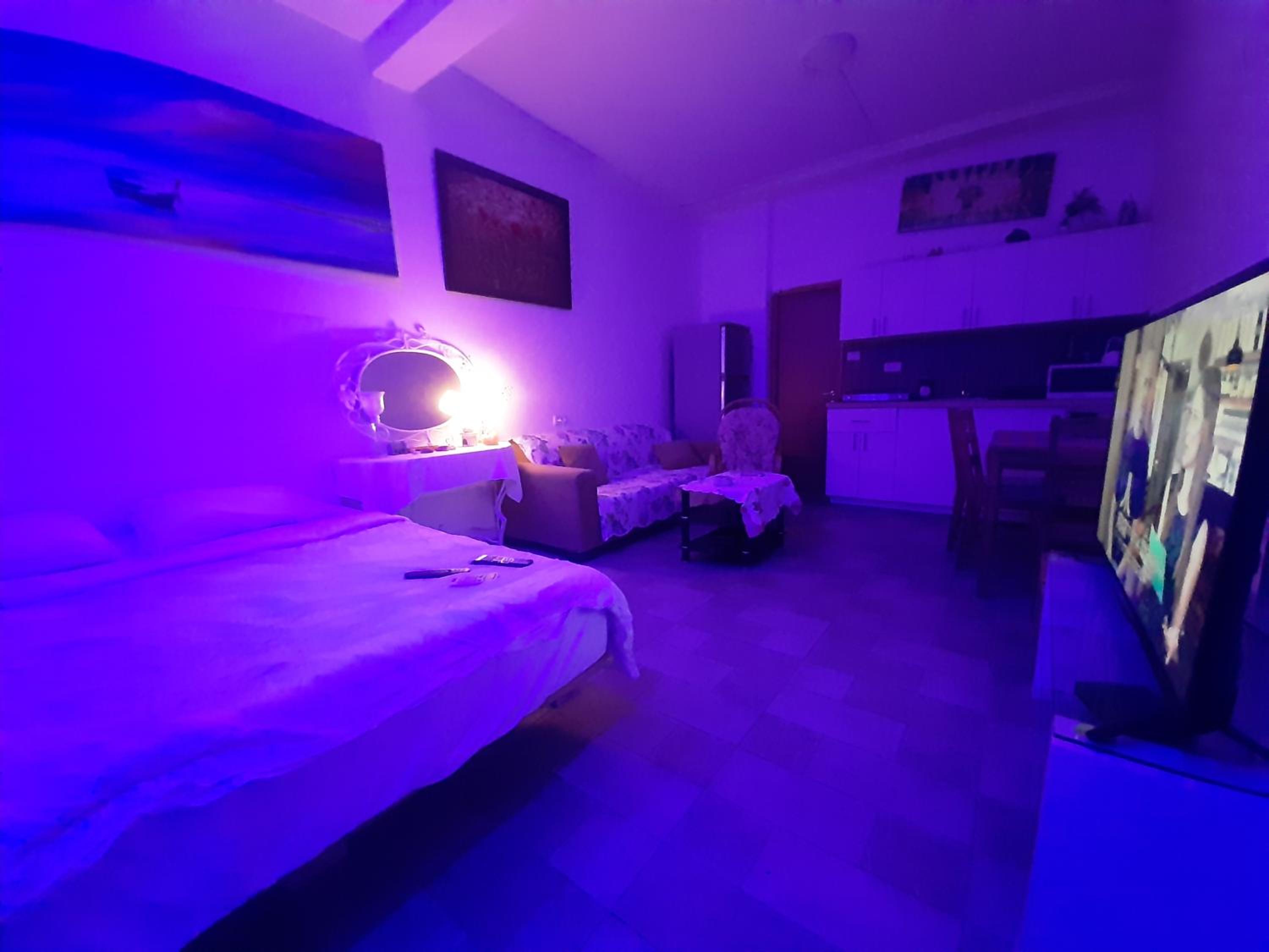 One-Bedroom Apartment - Photo 61