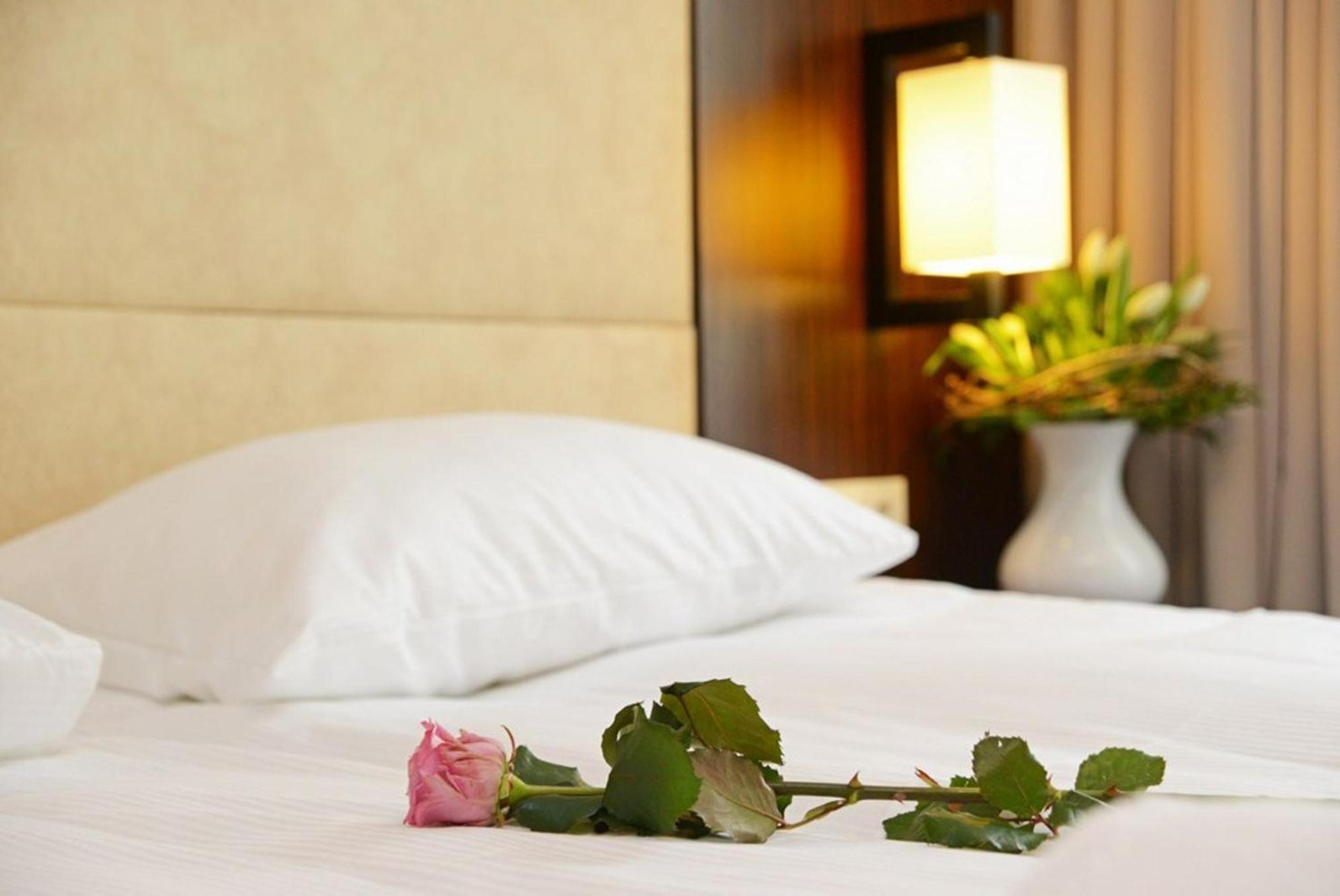 Standard Single Room photo 1