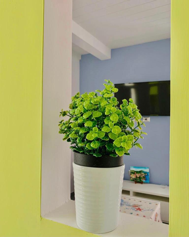 Apartment with Terrace photo 3