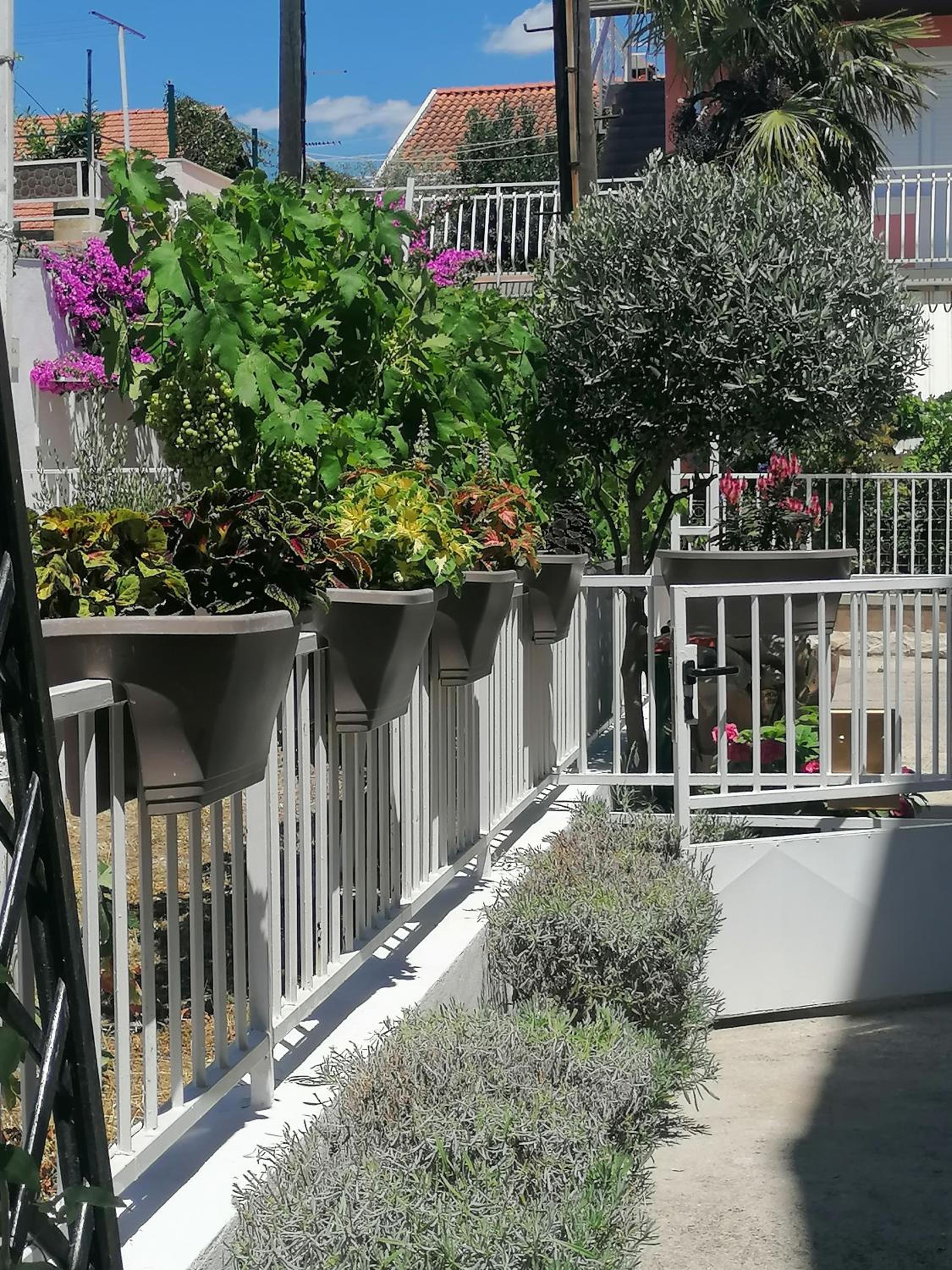 Studio with Terrace