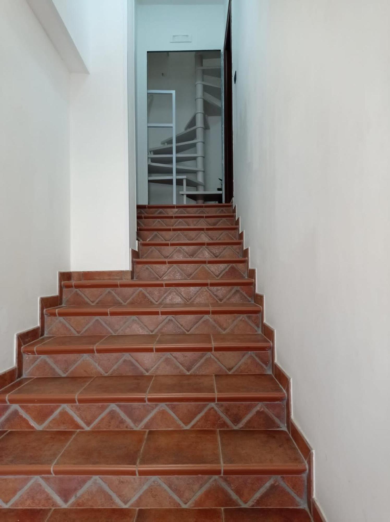 Penthouse Apartment - Photo 19