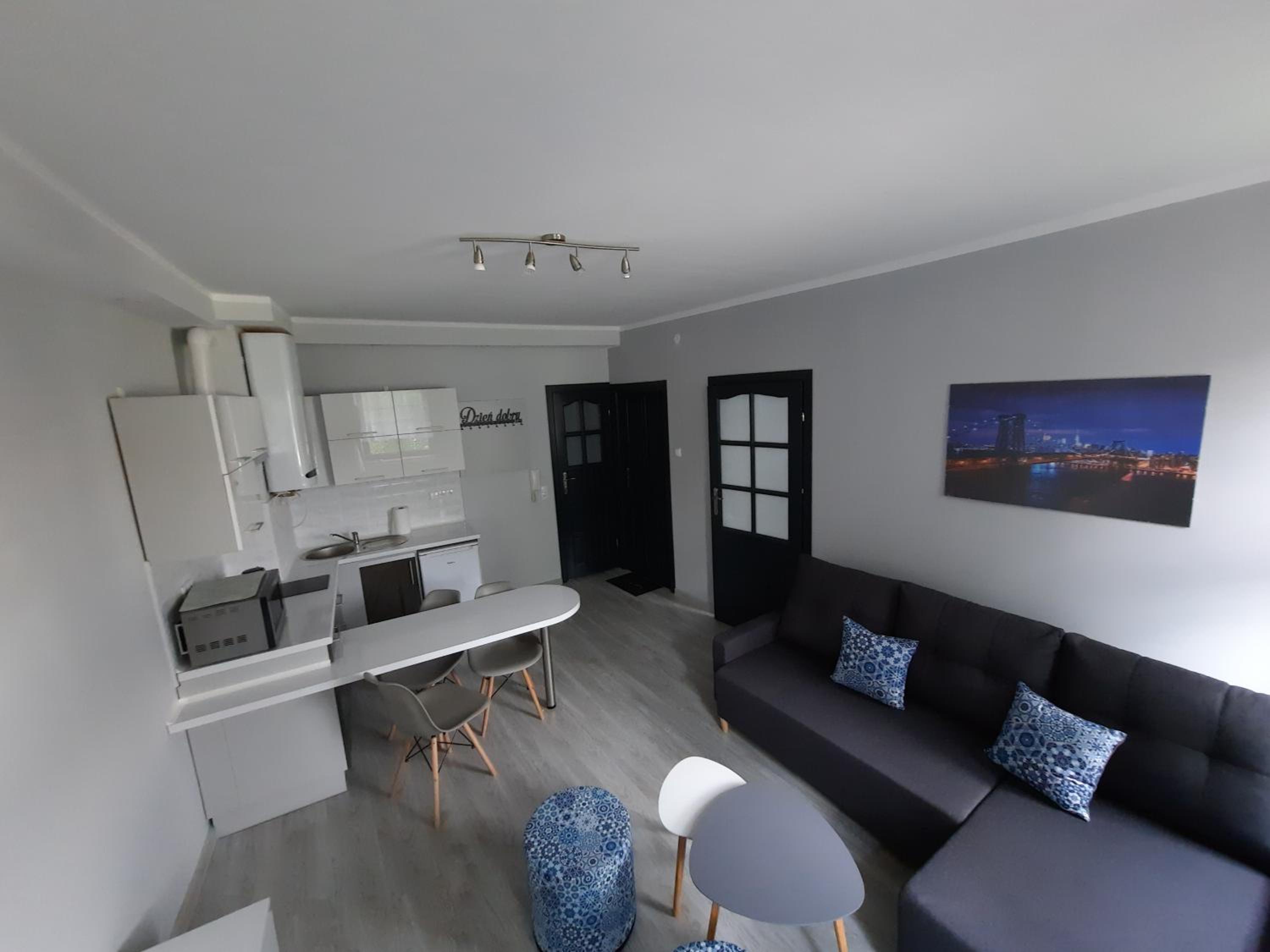 One-Bedroom Apartment photo 2