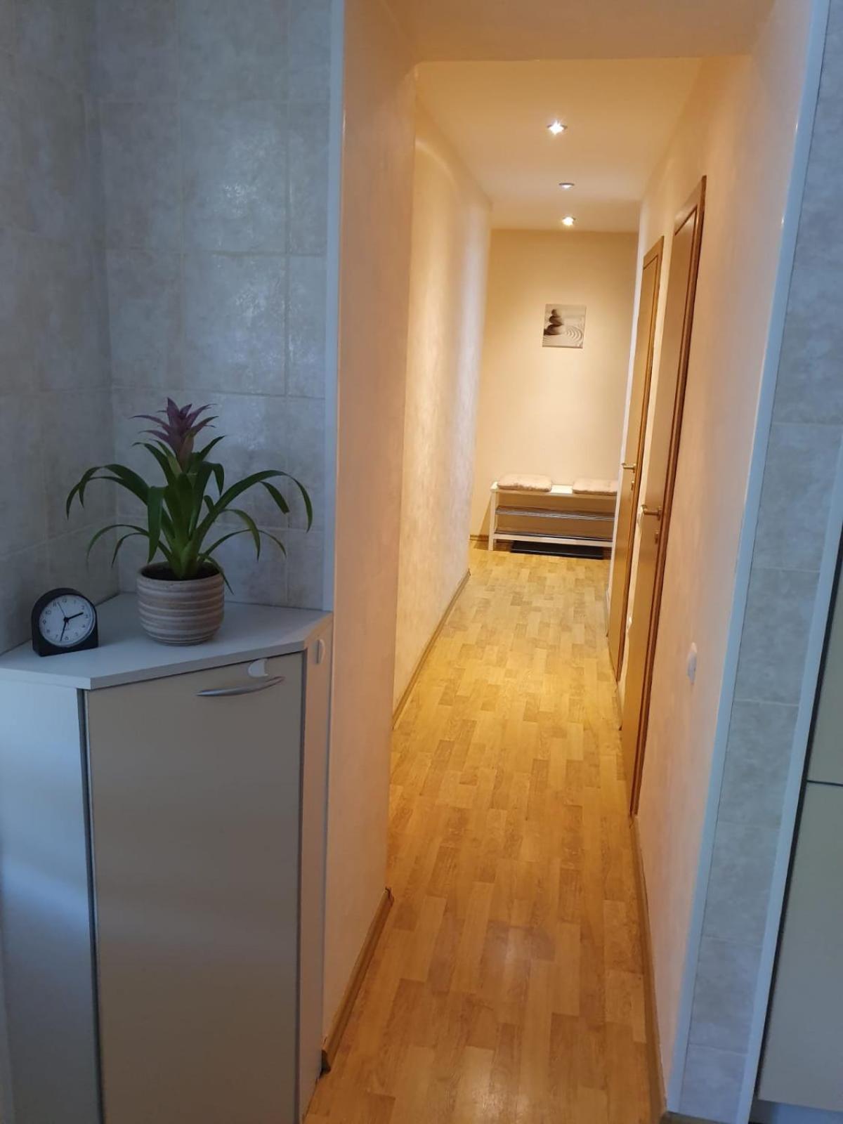 One-Bedroom Apartment photo 3