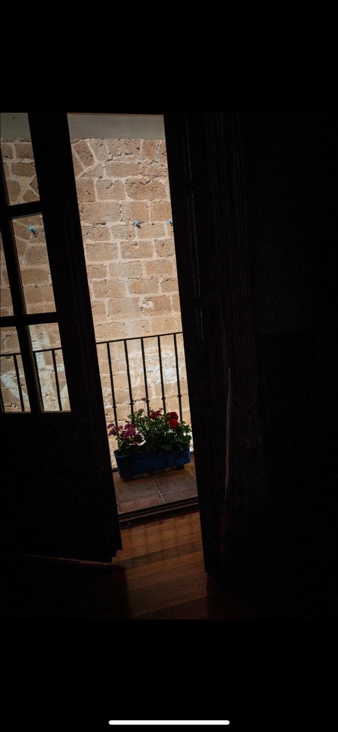 Standard Apartment - Photo 12
