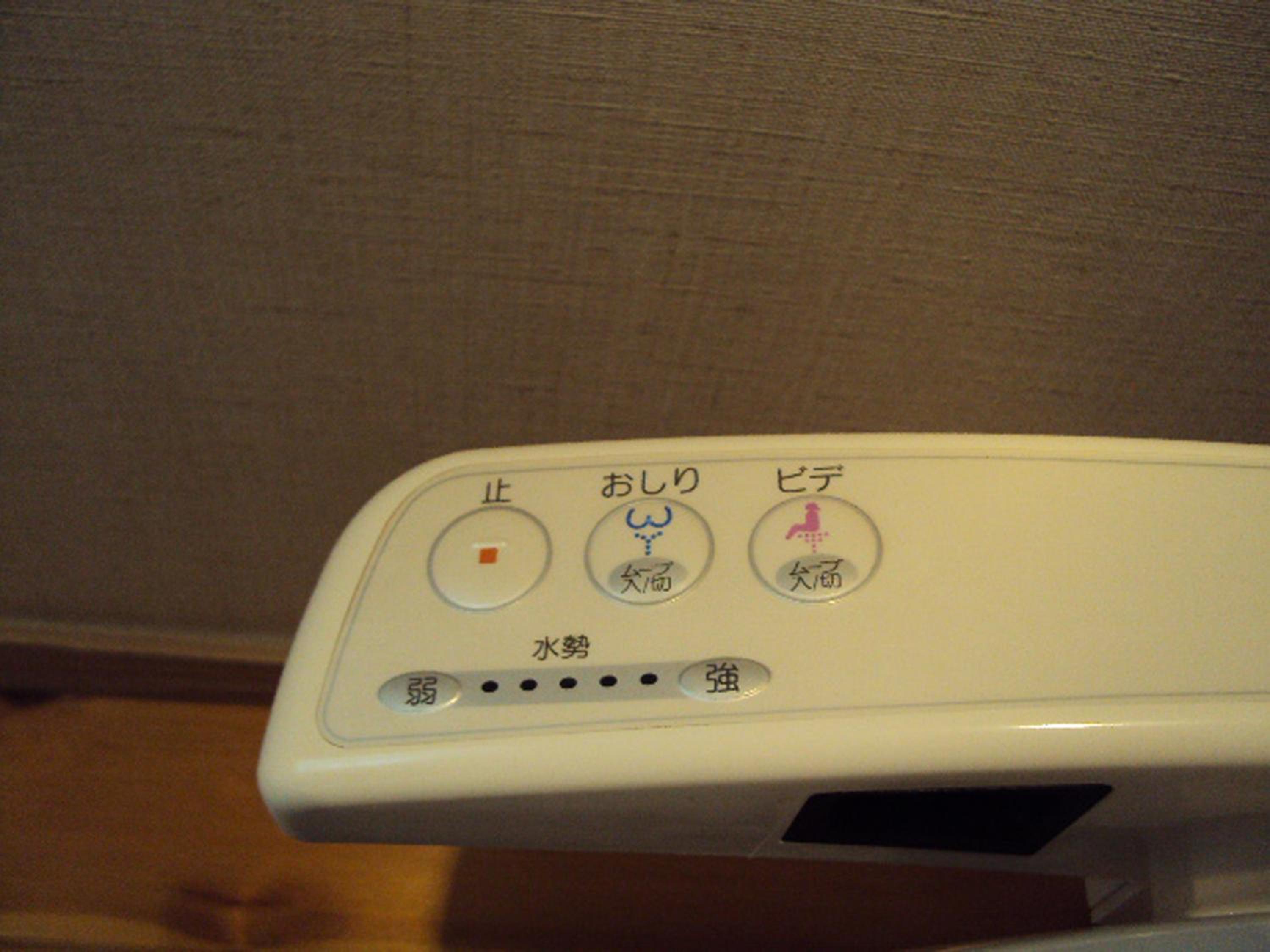 Japanese-Style Room with Shared Bathroom photo 3