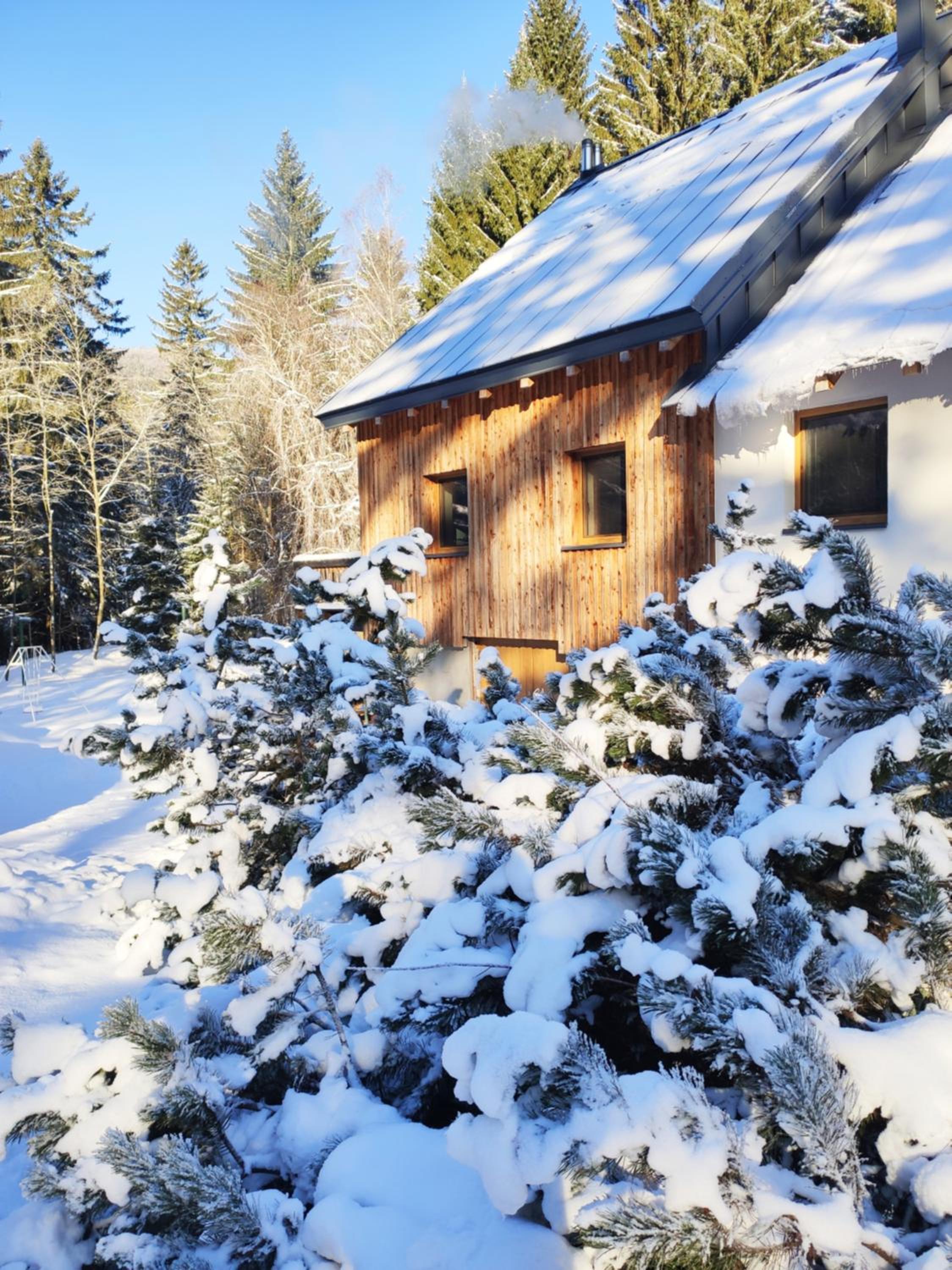 Superior Chalet photo 3