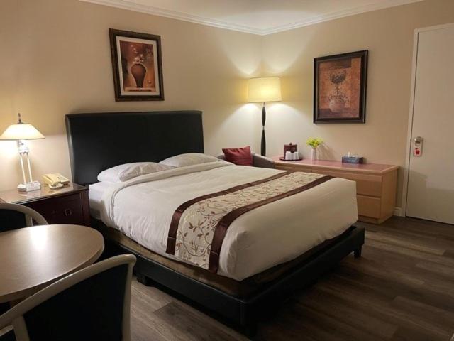 Queen Room photo 3
