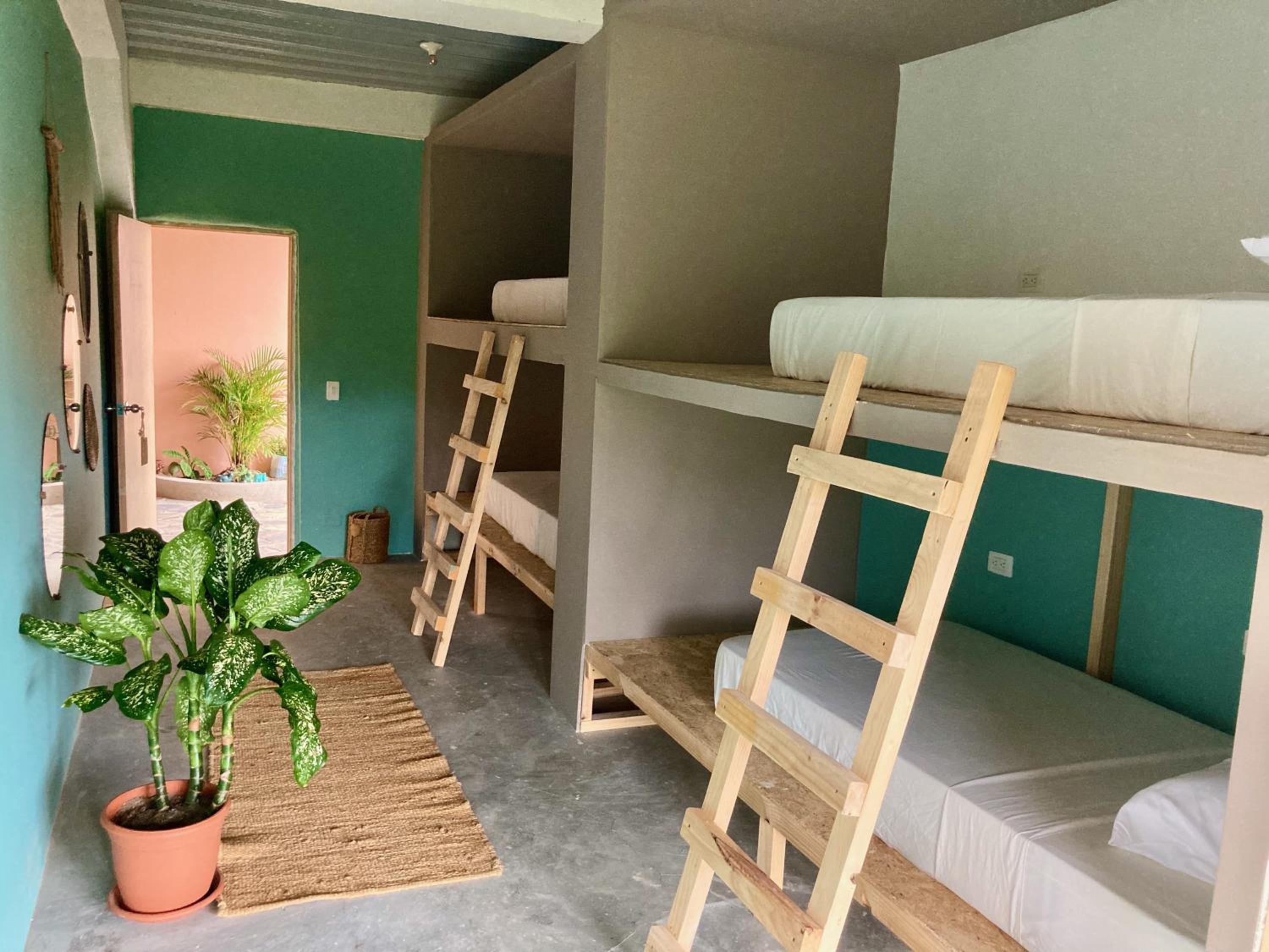 Single Bed in 4-Bed Dormitory Room photo 2