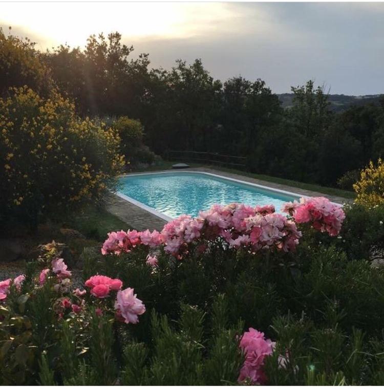 Holiday Home photo 3