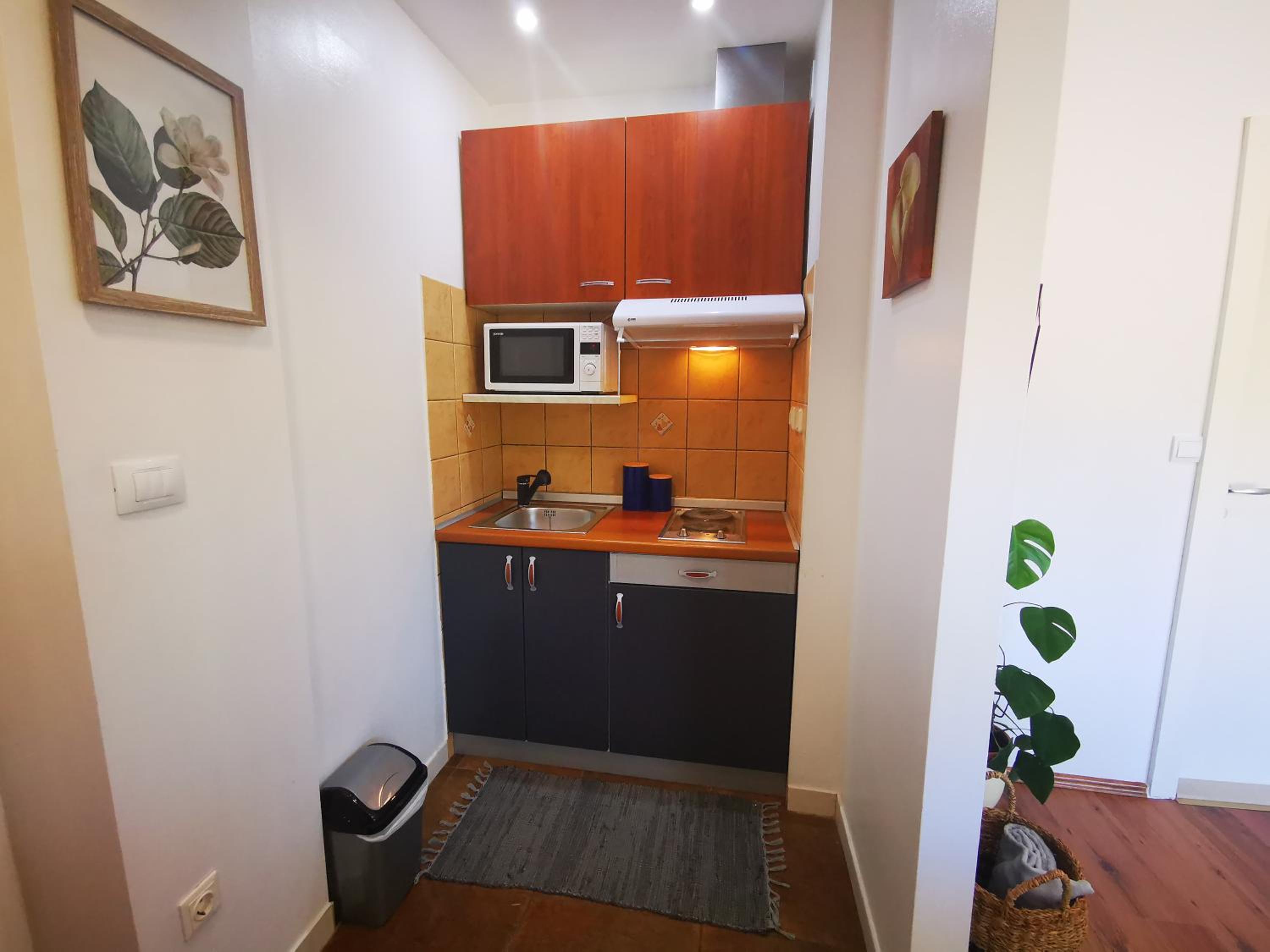 One-Bedroom Apartment photo 3