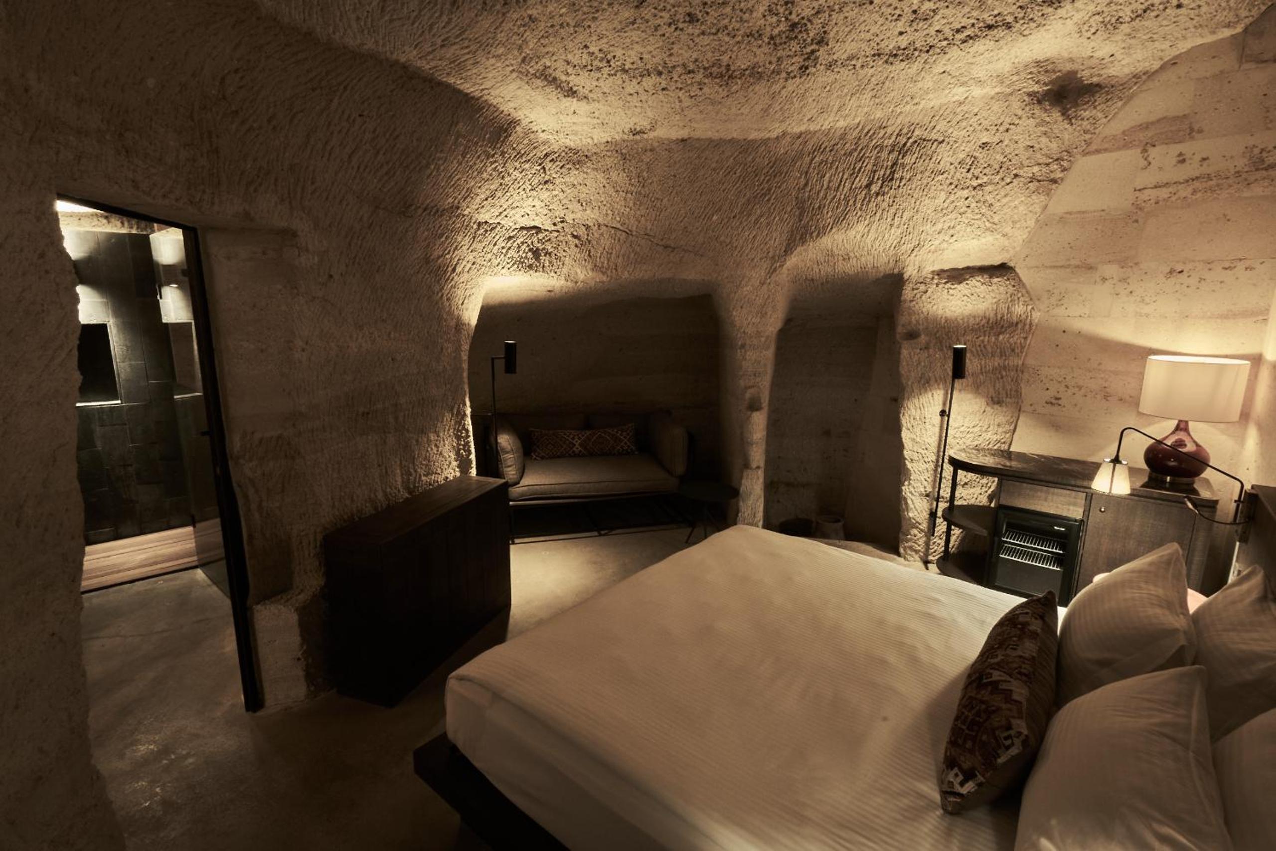 Cave Deluxe - Photo 11