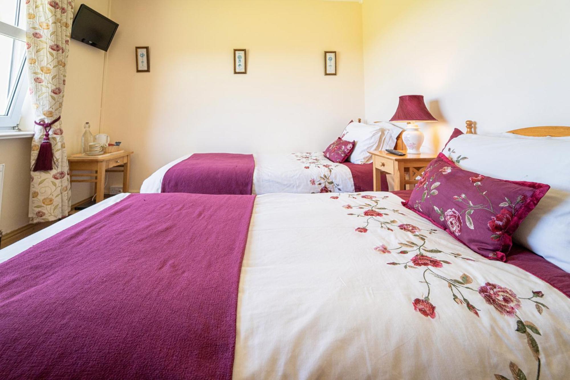 Twin Room - Photo 2
