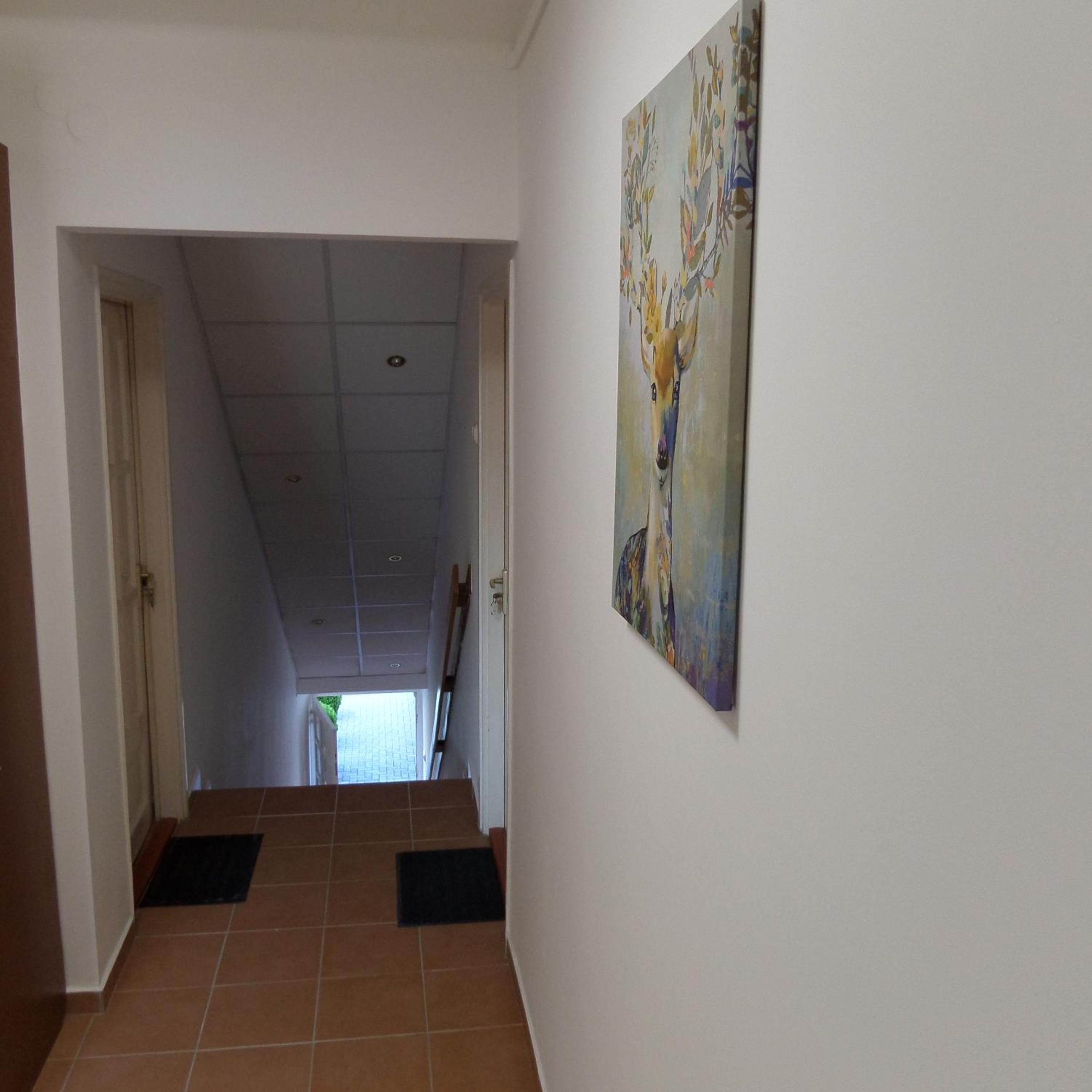 Apartment with Garden View photo 2