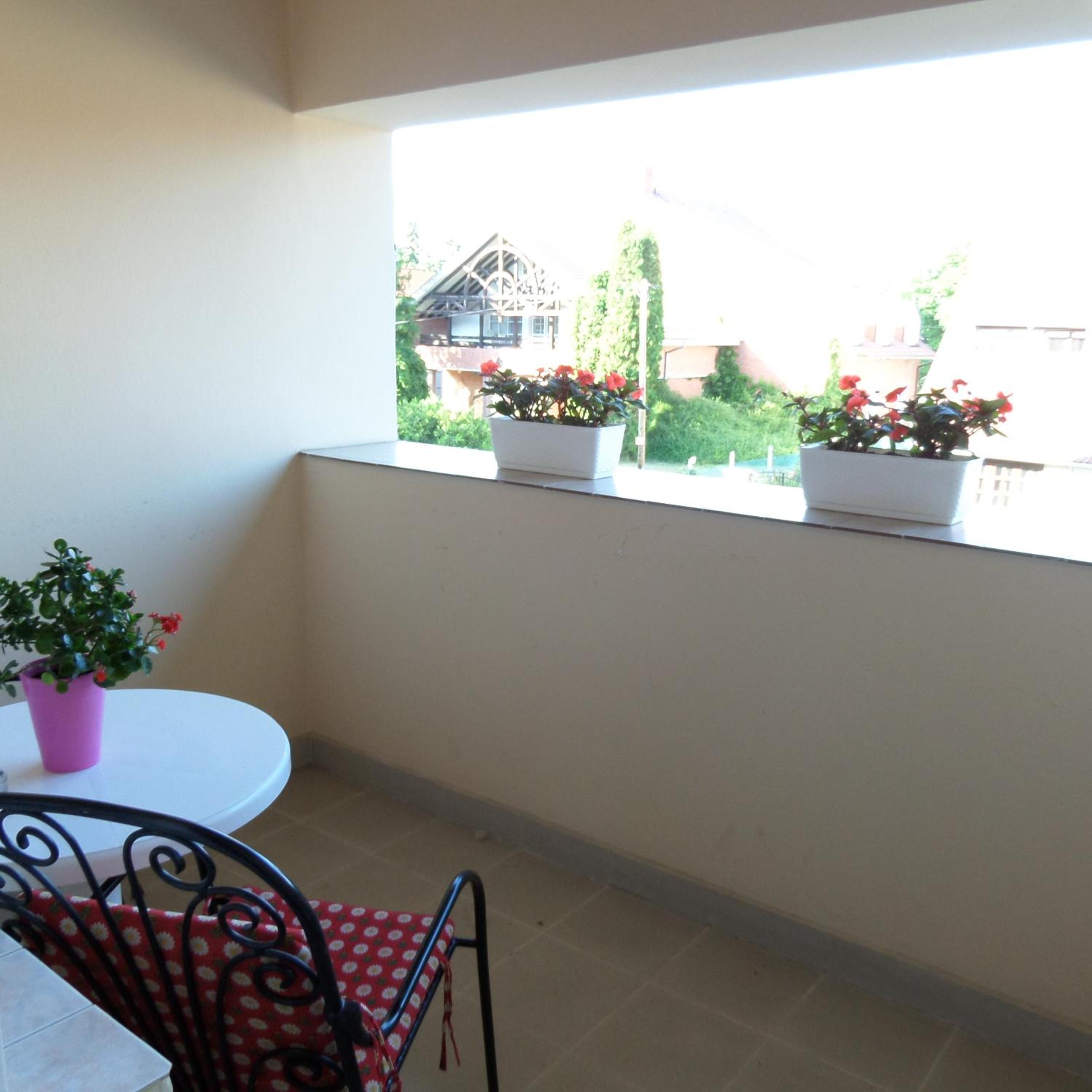 Apartment with Terrace photo 3
