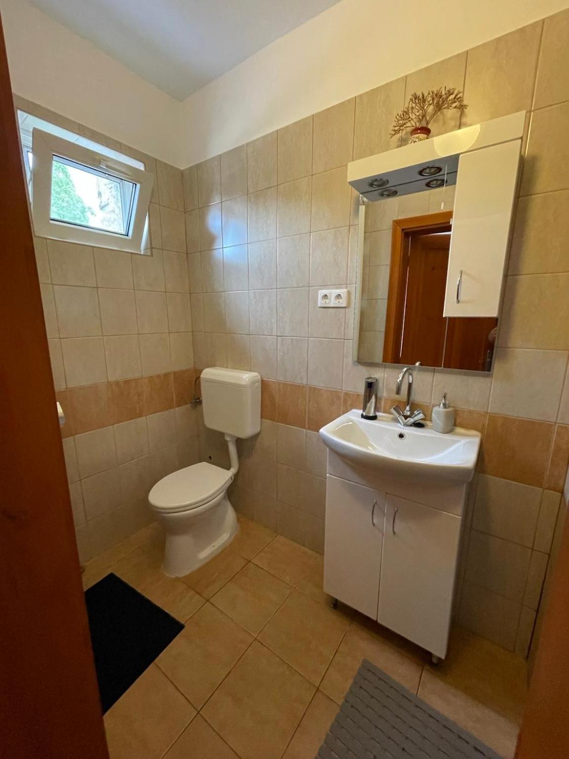 Apartment with Terrace photo 2
