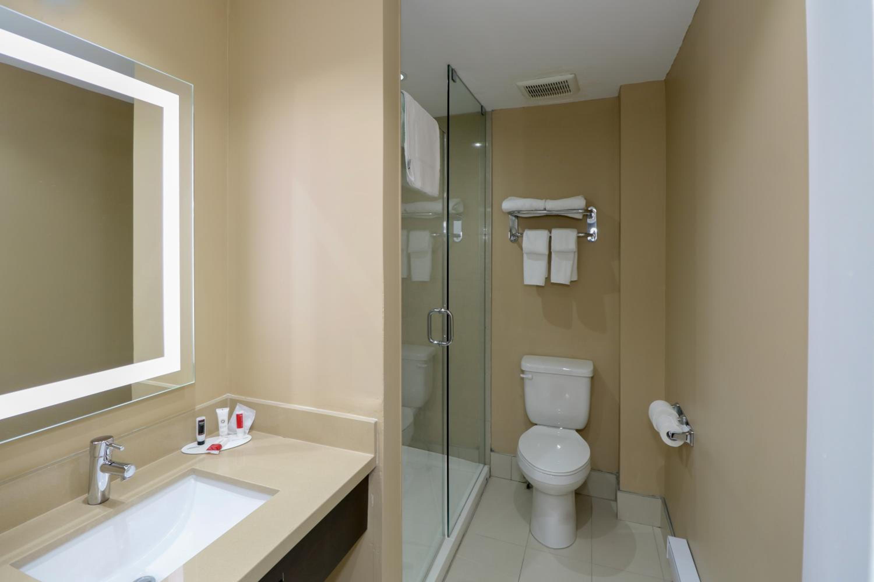 One-Bedroom Suite with One King Bed - Non-Smoking - Photo 4