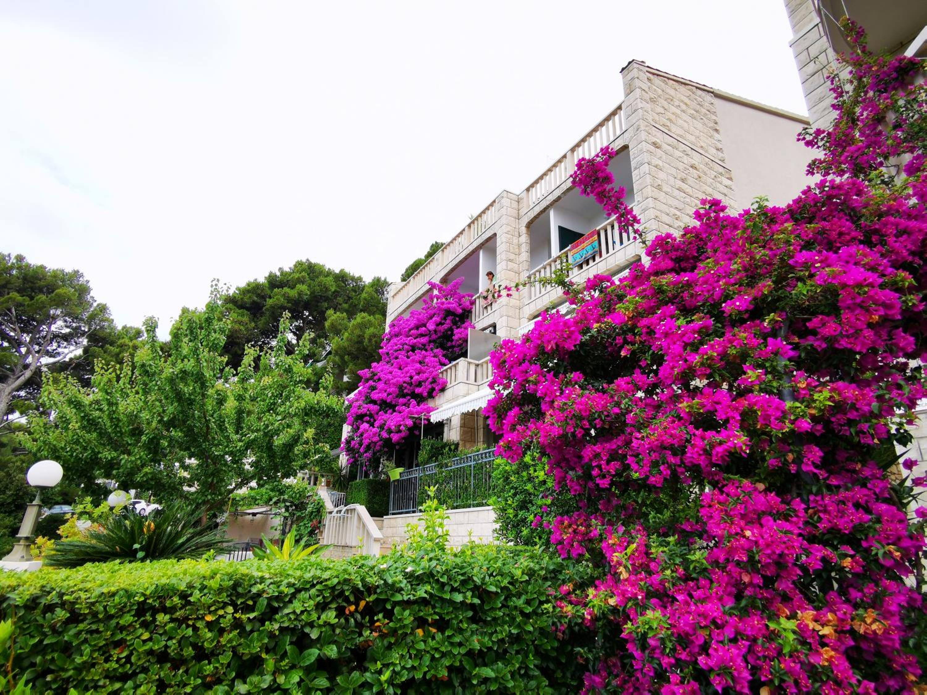 Apartment with Sea View photo 3