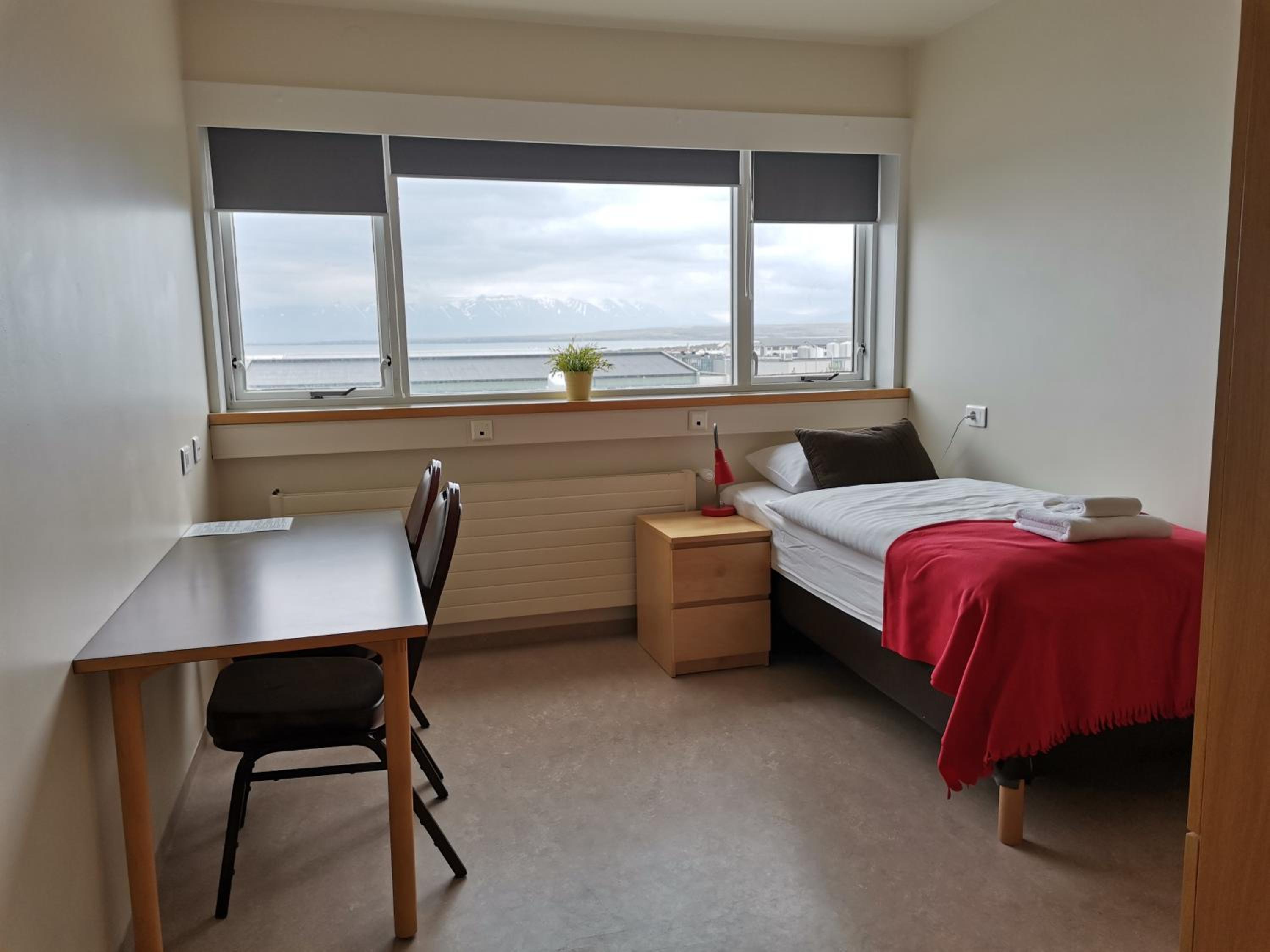 Single Room photo 2
