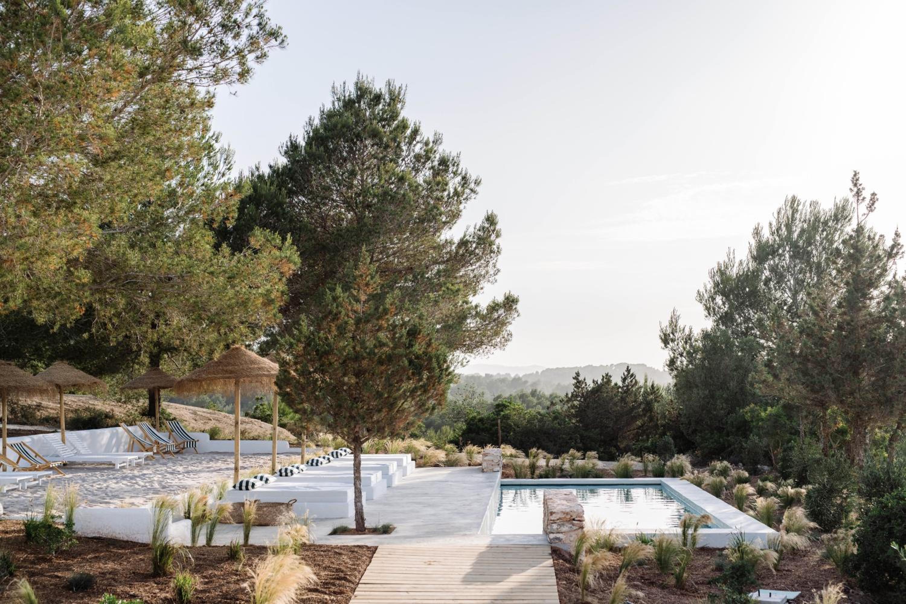 Studio with Terrace photo 2