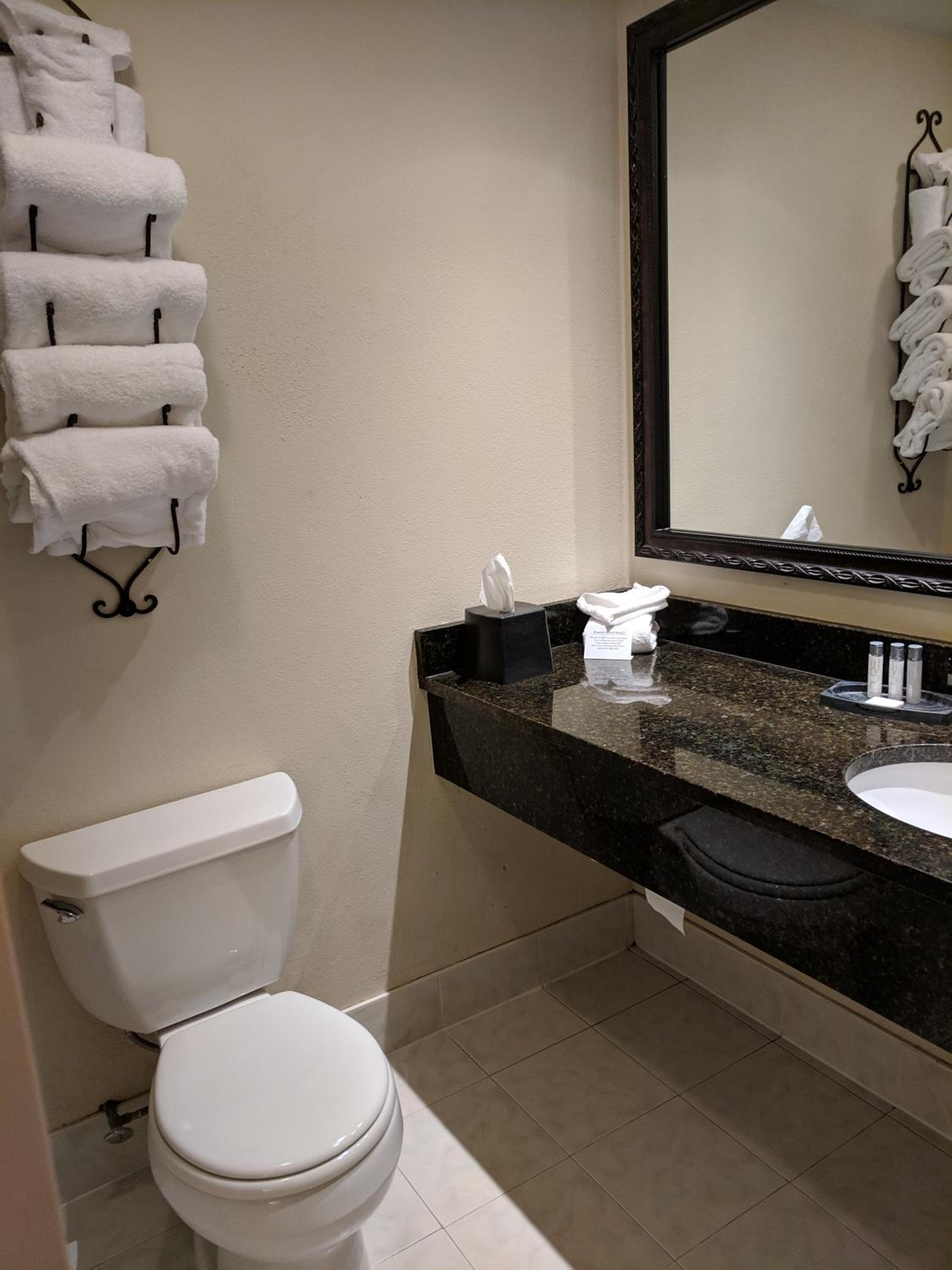 Business King Room - Non-Smoking - Photo 6