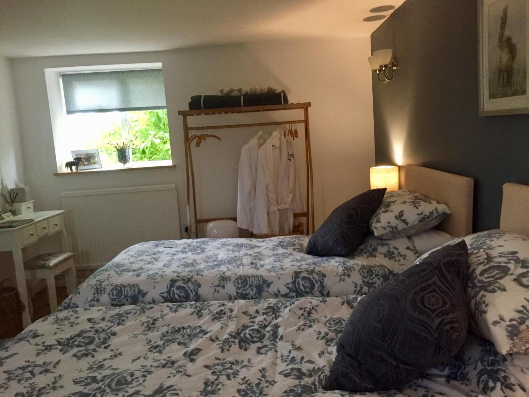 Deluxe Double or Twin Room photo 1
