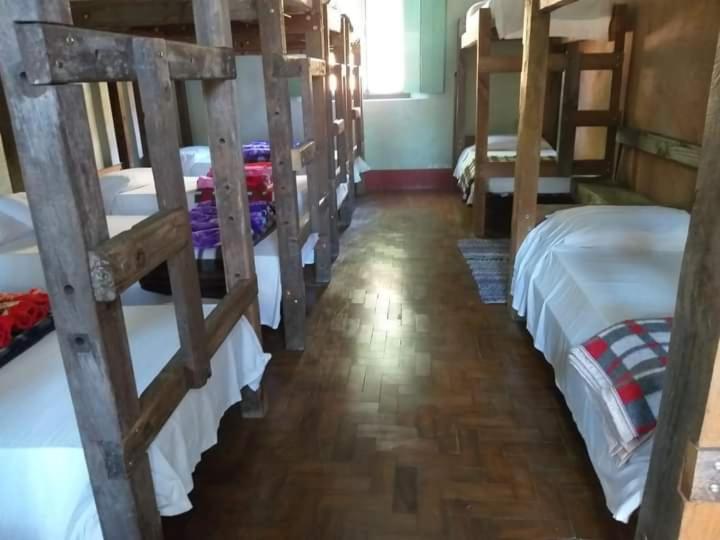 Bunk Bed in Mixed Dormitory Room photo 1