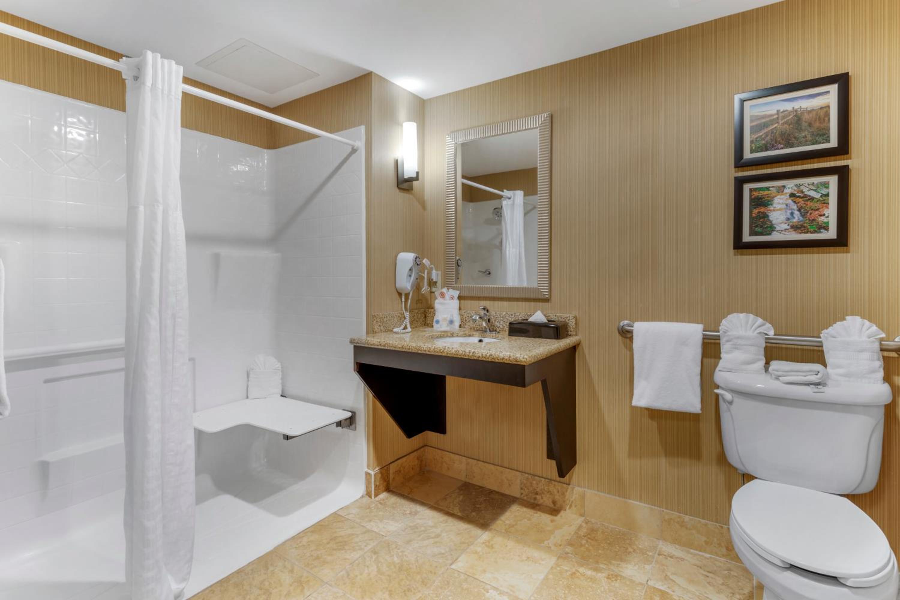 King Suite - Accessible/Non-Smoking - Photo 5
