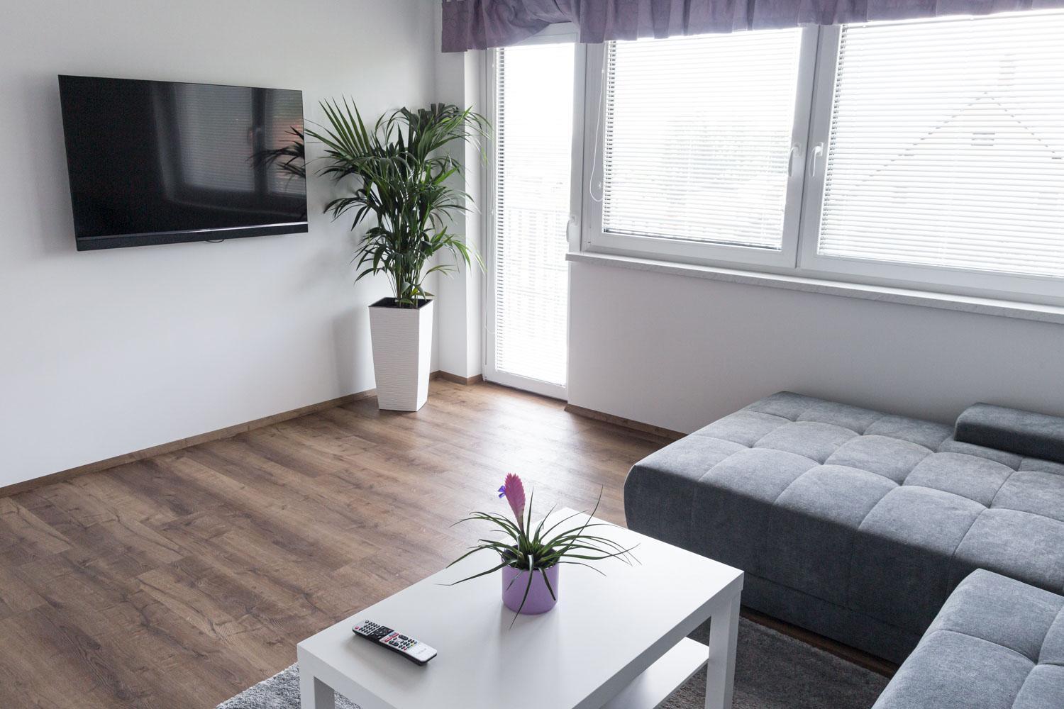Three-Bedroom Apartment photo 2