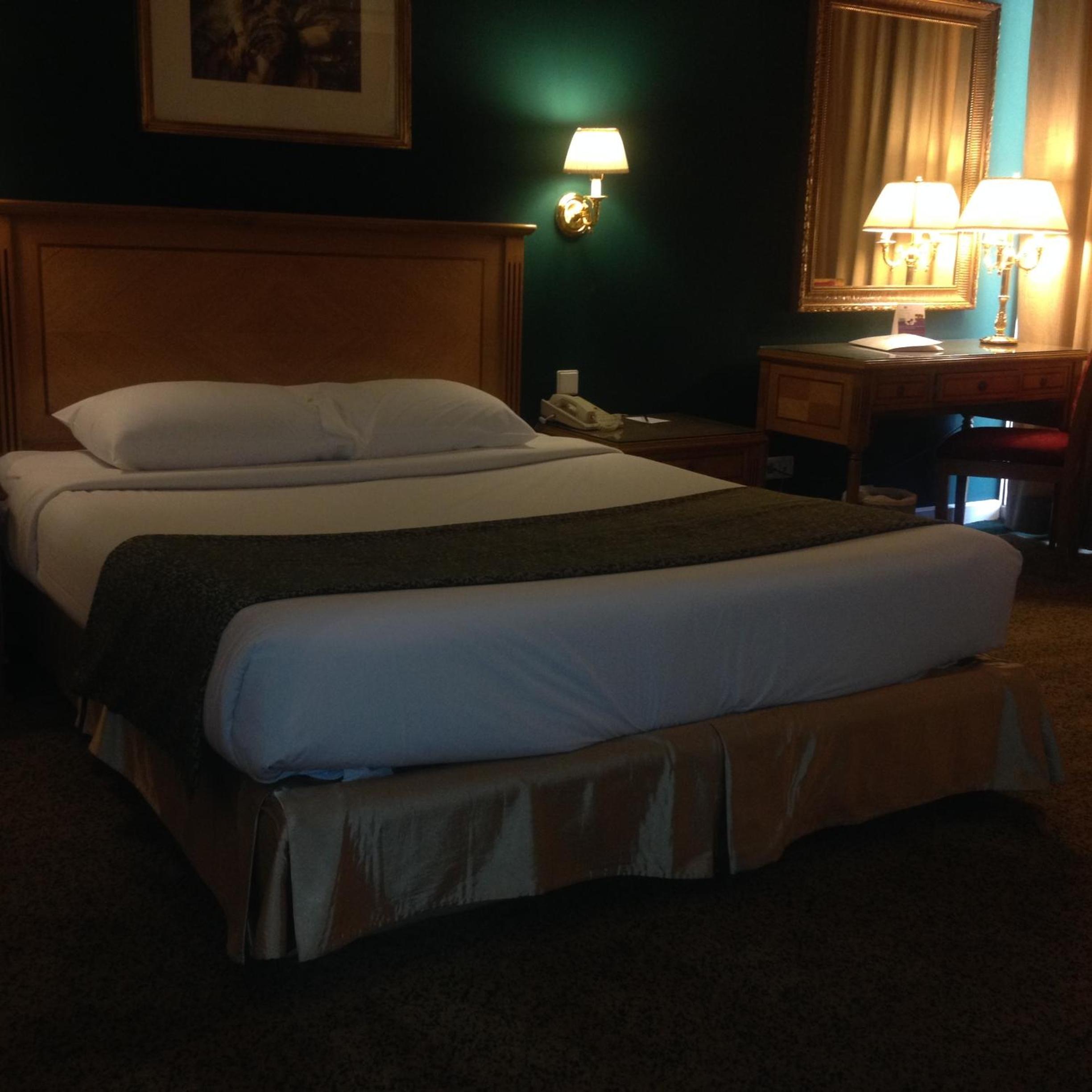 Superior Double or Twin Room - Photo 9