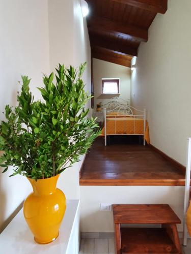 Deluxe Double or Twin Room photo 2