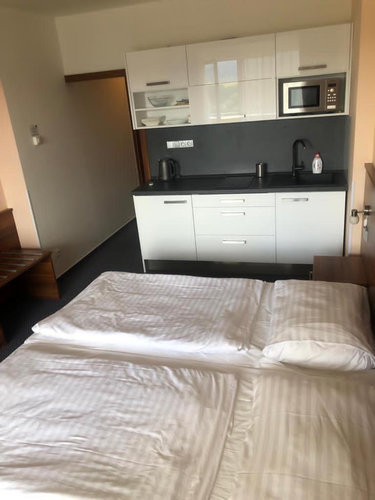 One-Bedroom Apartment - Photo 2