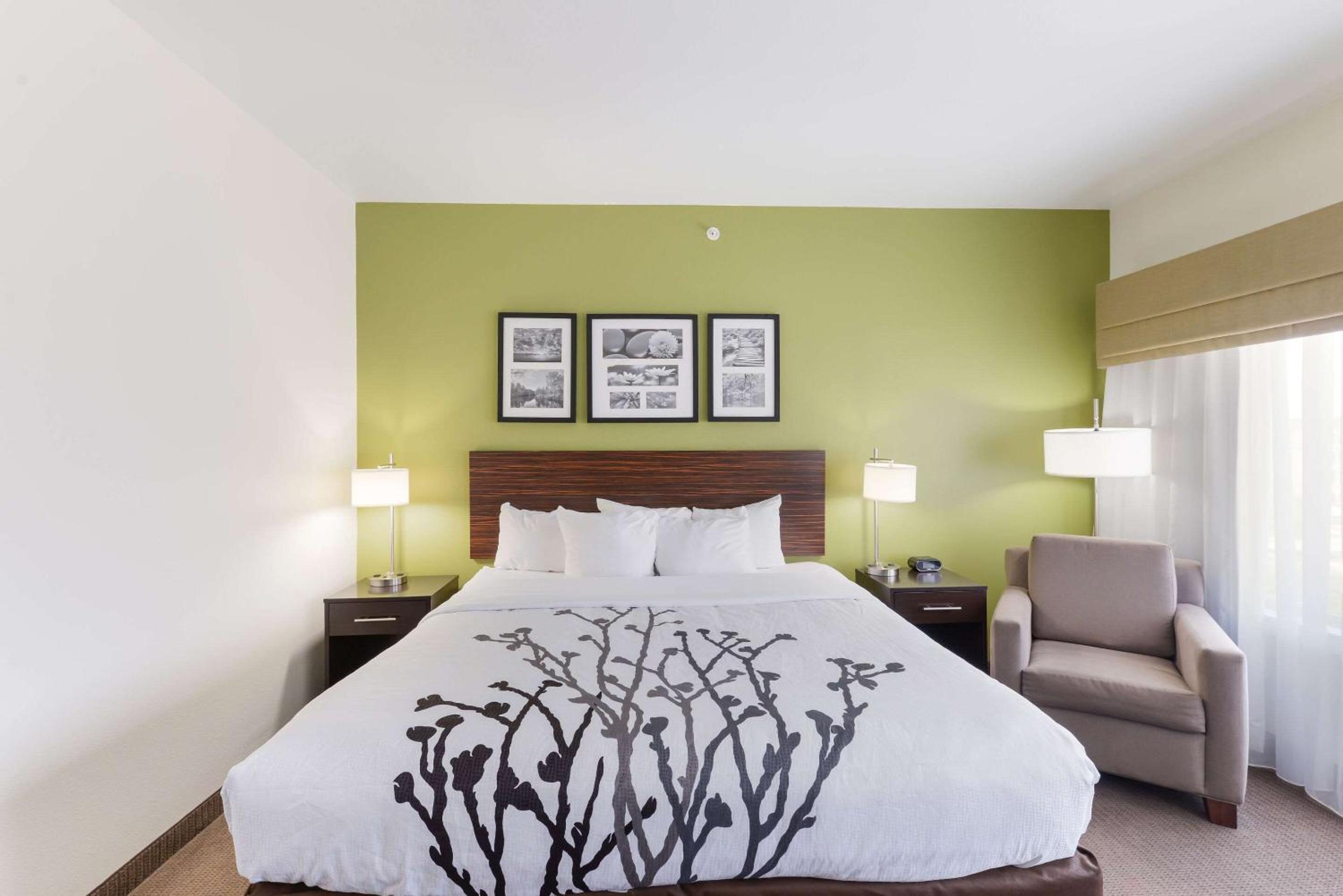 King Room - Non-Smoking - Photo 2