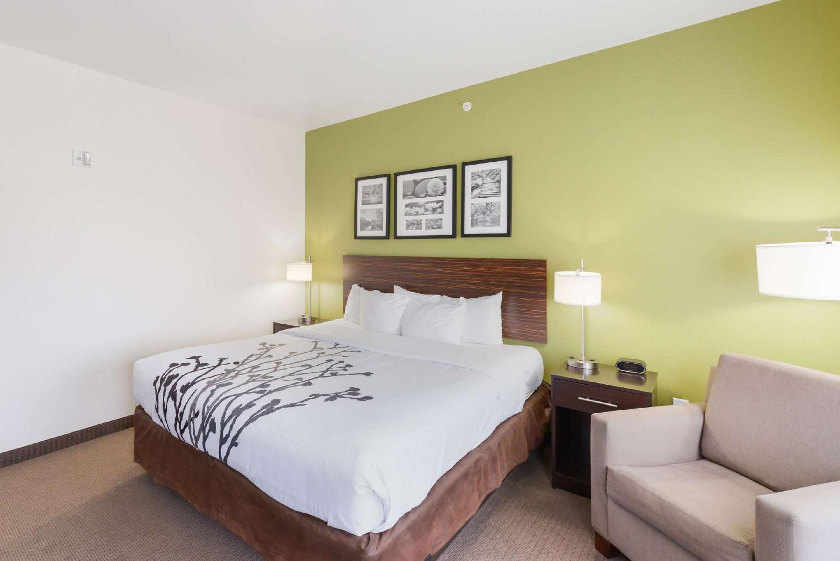 King Room - Non-Smoking - Photo 4