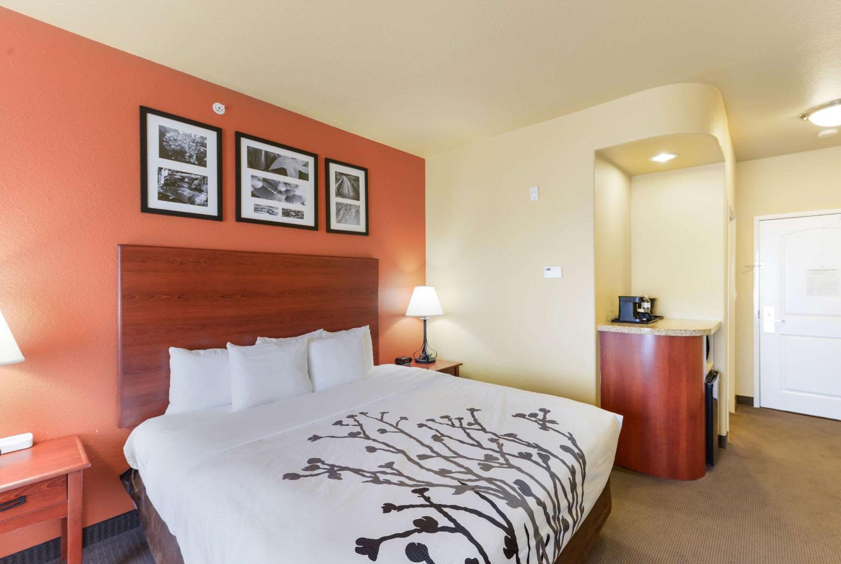King Room - Accessible/Non-Smoking - Photo 3