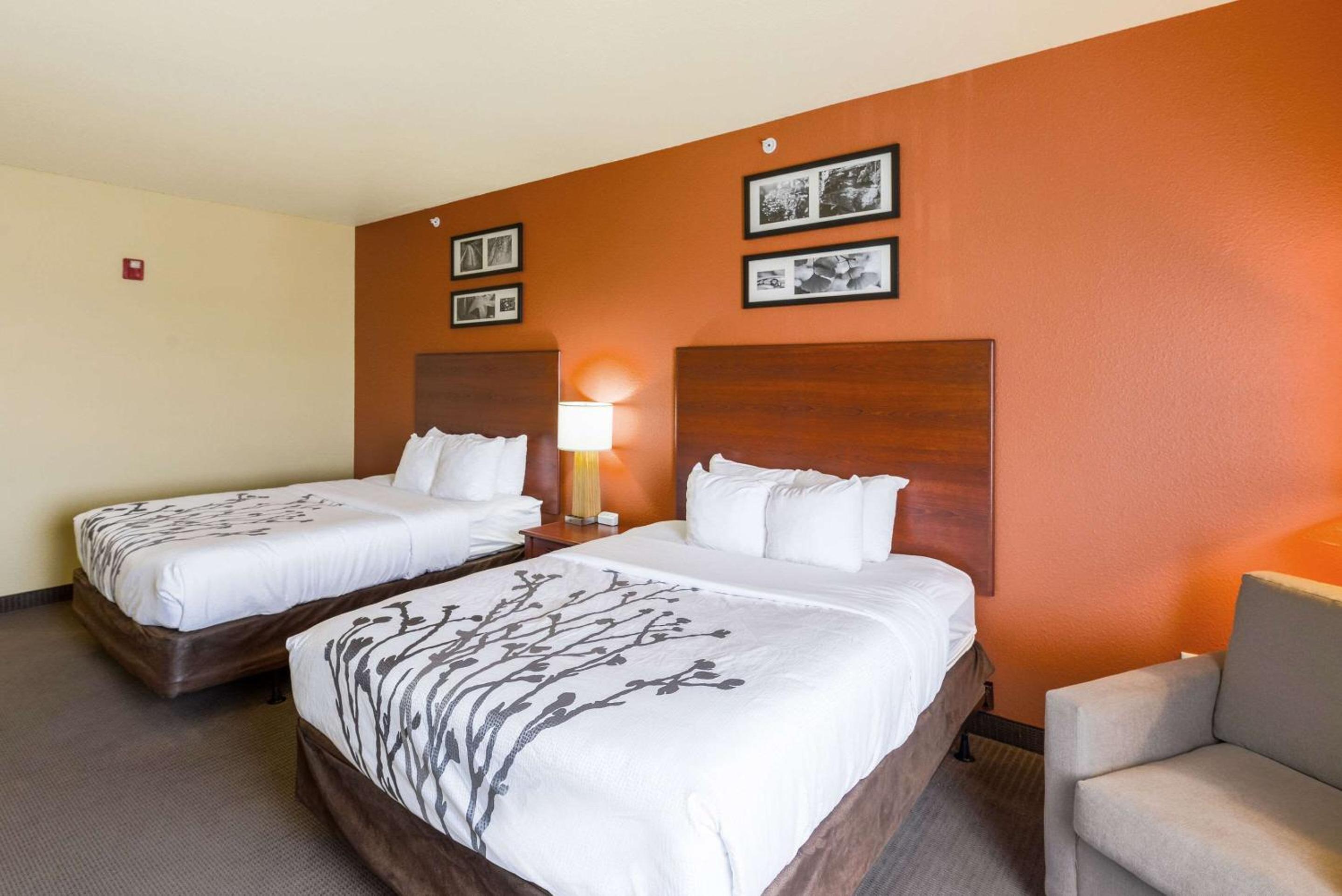 Queen Room with Two Queen Beds - Accessible/Non-Smoking  - Photo 2