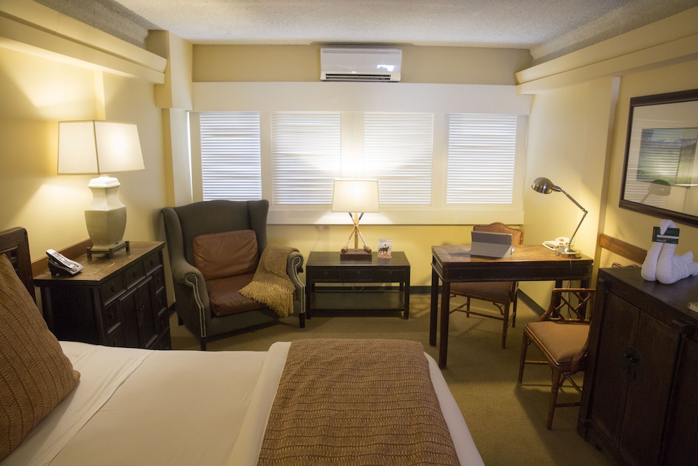 Executive Room, 1 King Bed, City View - Photo 3