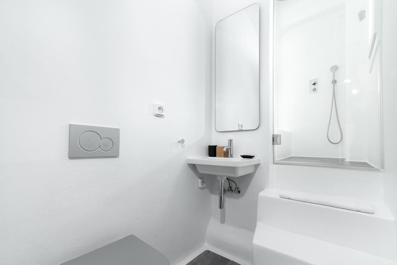 Deluxe King Suite - Photo 41