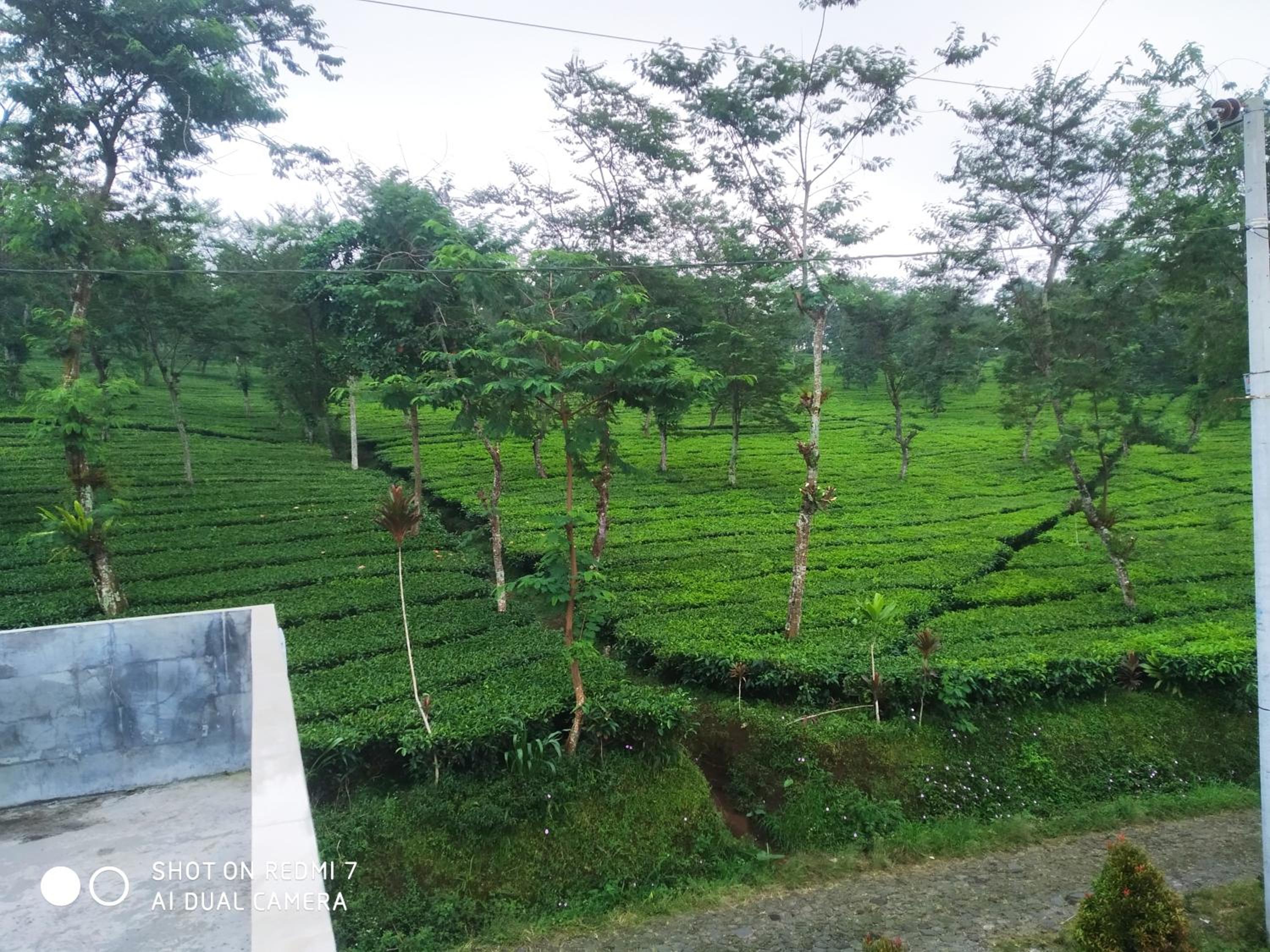 Double Room with Mountain View photo 3
