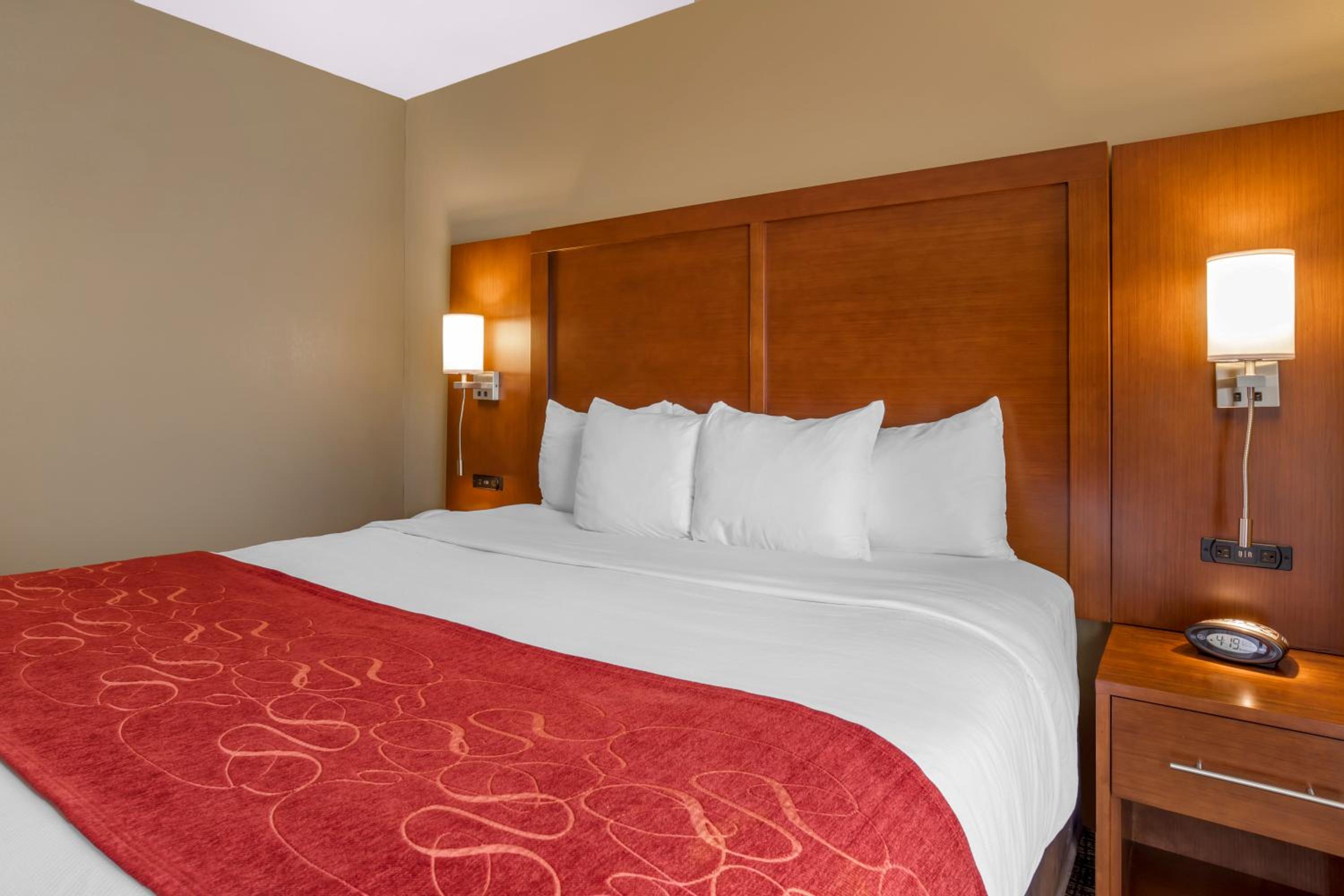 One-Bedroom King Suite with Sofa Bed - Non-Smoking - Photo 3